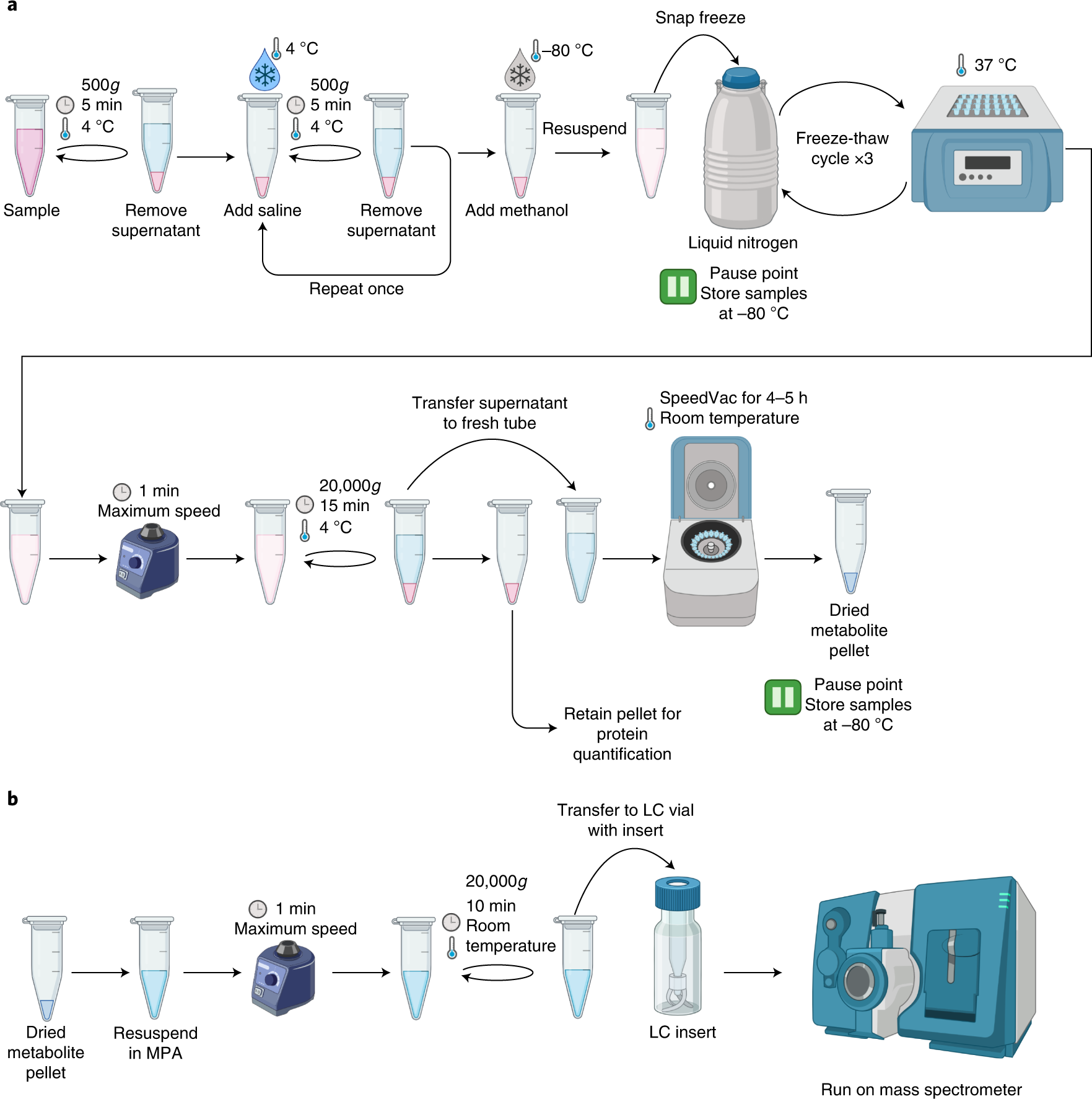 Fig. 3: Metabolomics processing workflow.
