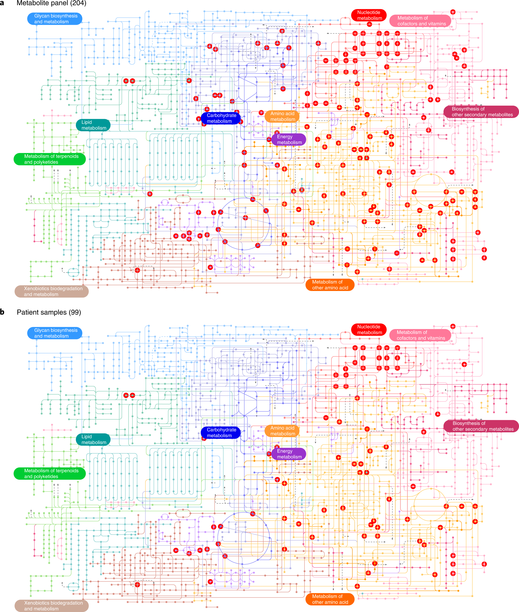 Fig. 6: Pathway analysis of measured versus detected metabolites from patient specimens.