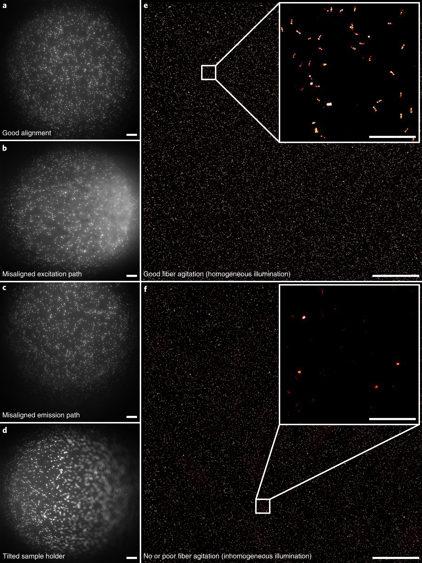 Fig. 4: Images from good- and poor-quality alignment.