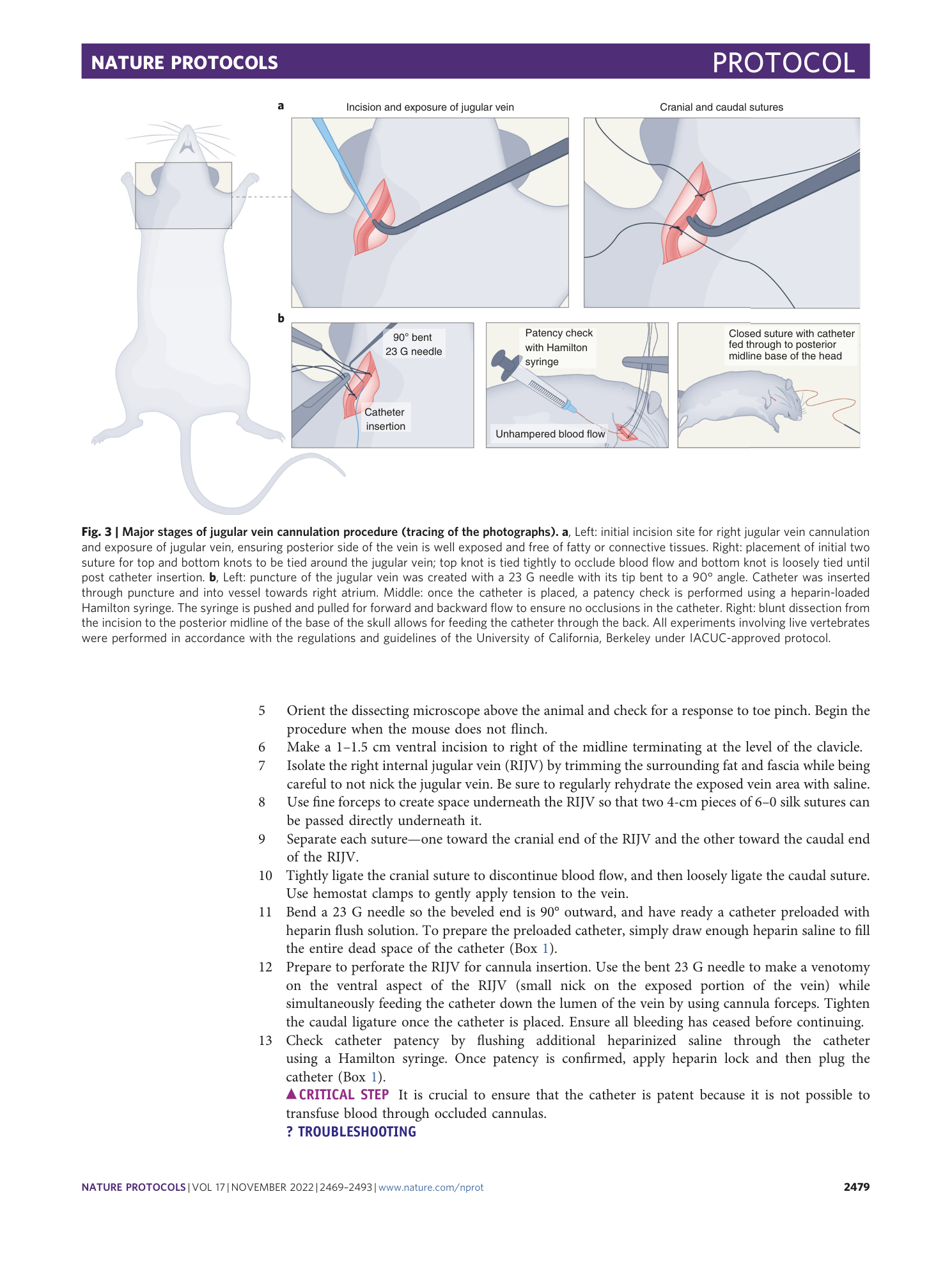 page-11