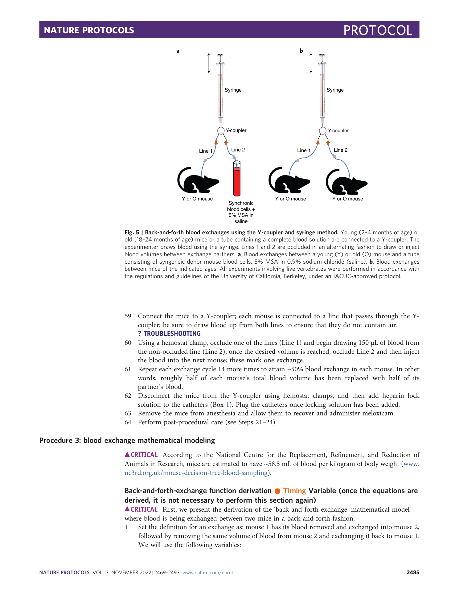 page-17