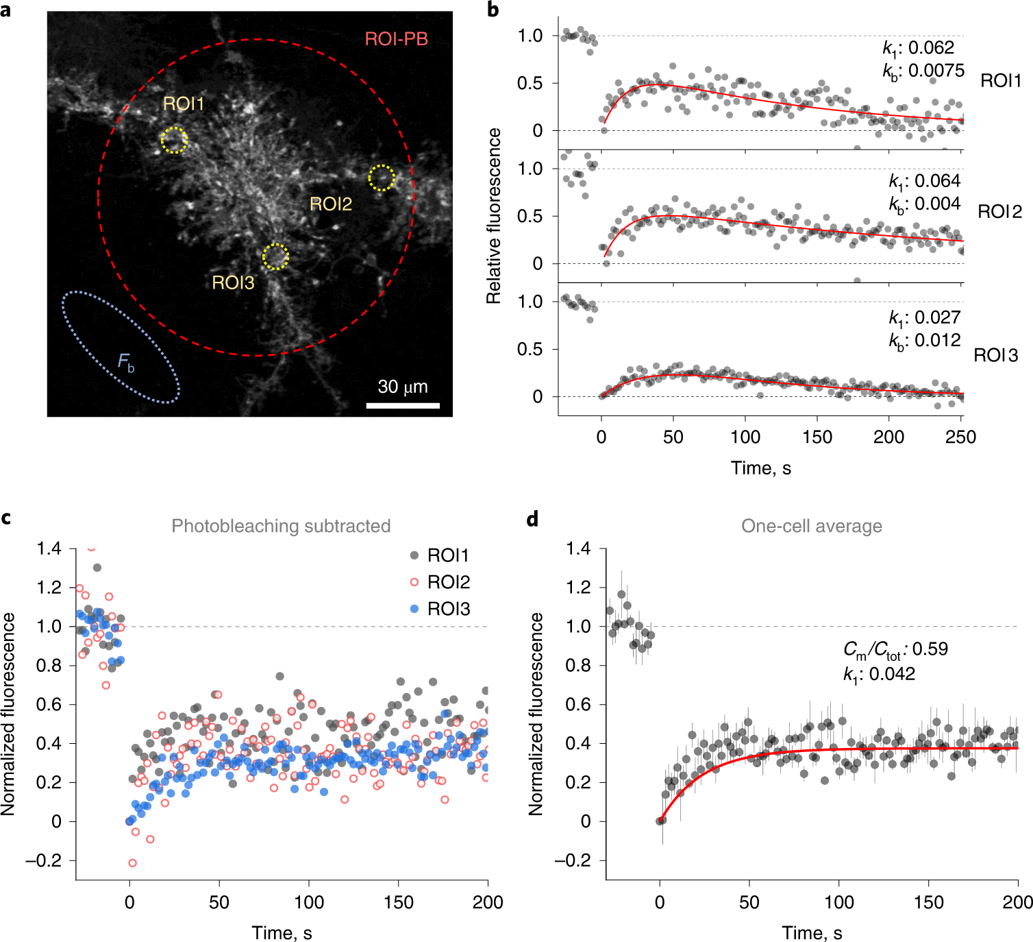 Fig. 4: Analyzing whole-cell FRAP data in one cell: an example.