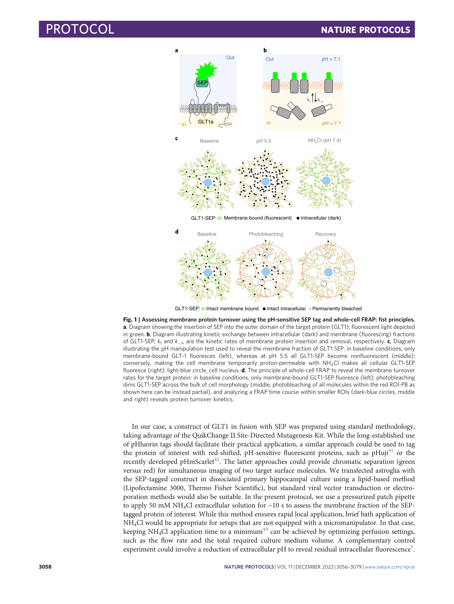 page-3