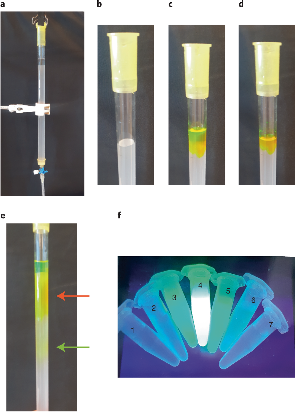 Fig. 5: Removal of external dye by size-exclusion chromatography of lipid vesicles.