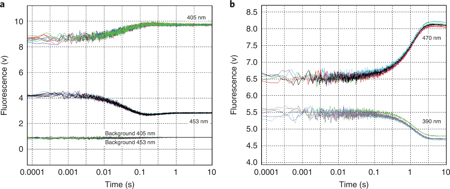 Fig. 8: Time evolution of fluorescent traces of pyranine-loaded vesicles and of cells expressing pHluorin.