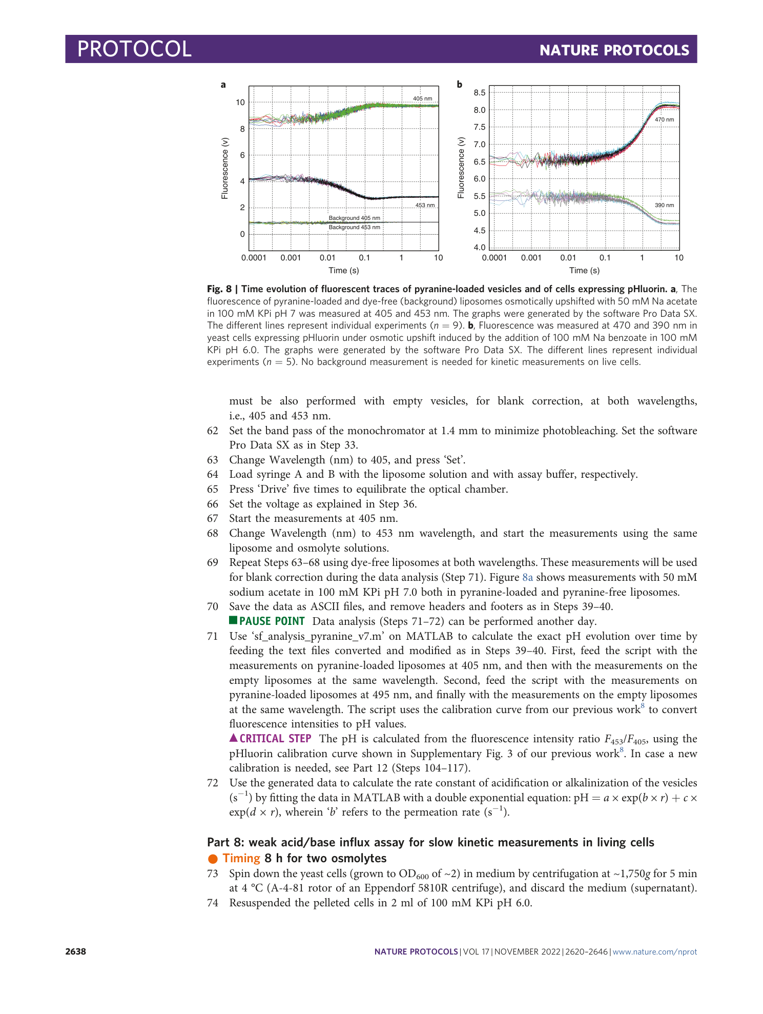 page-19