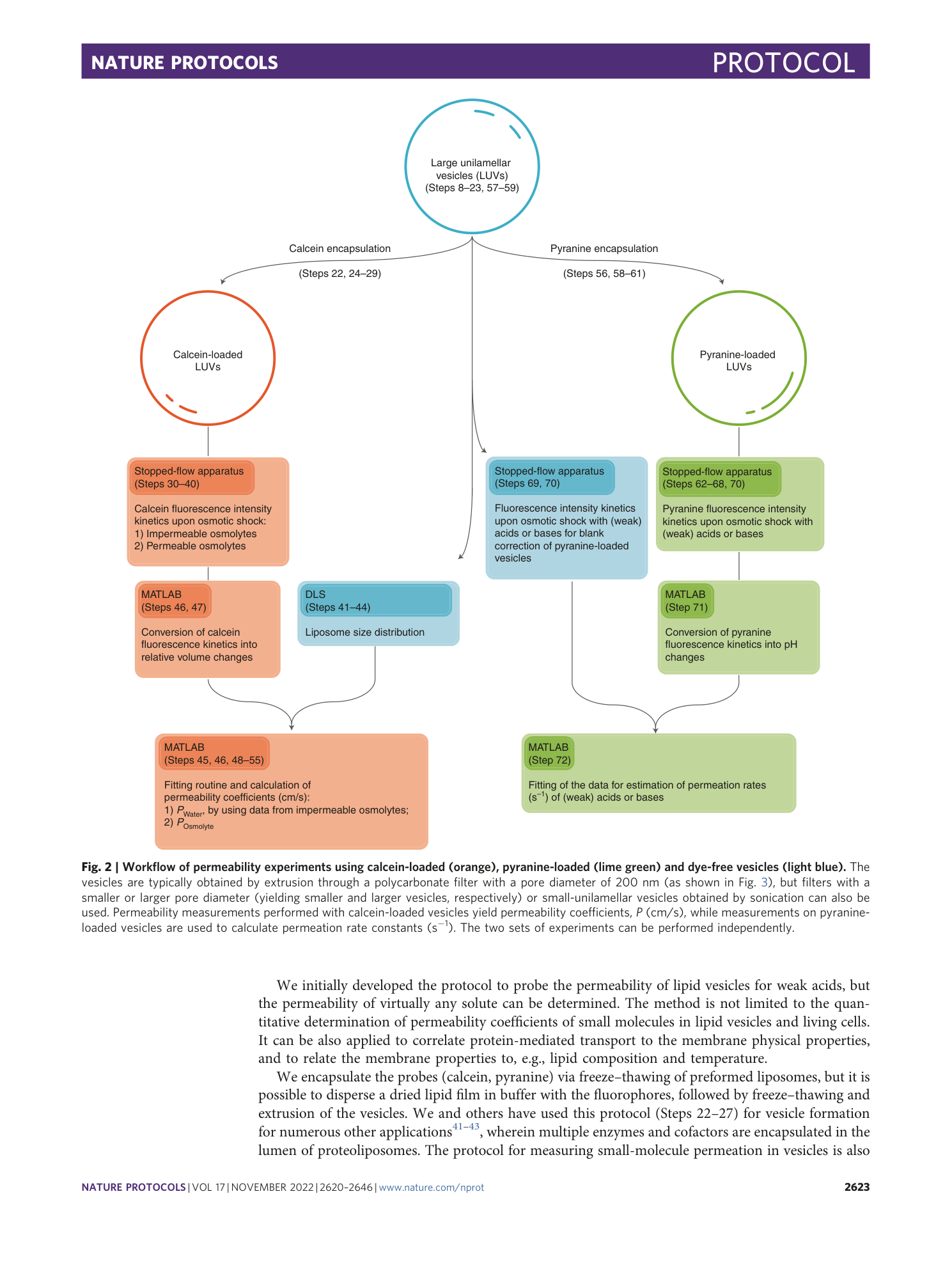 page-4
