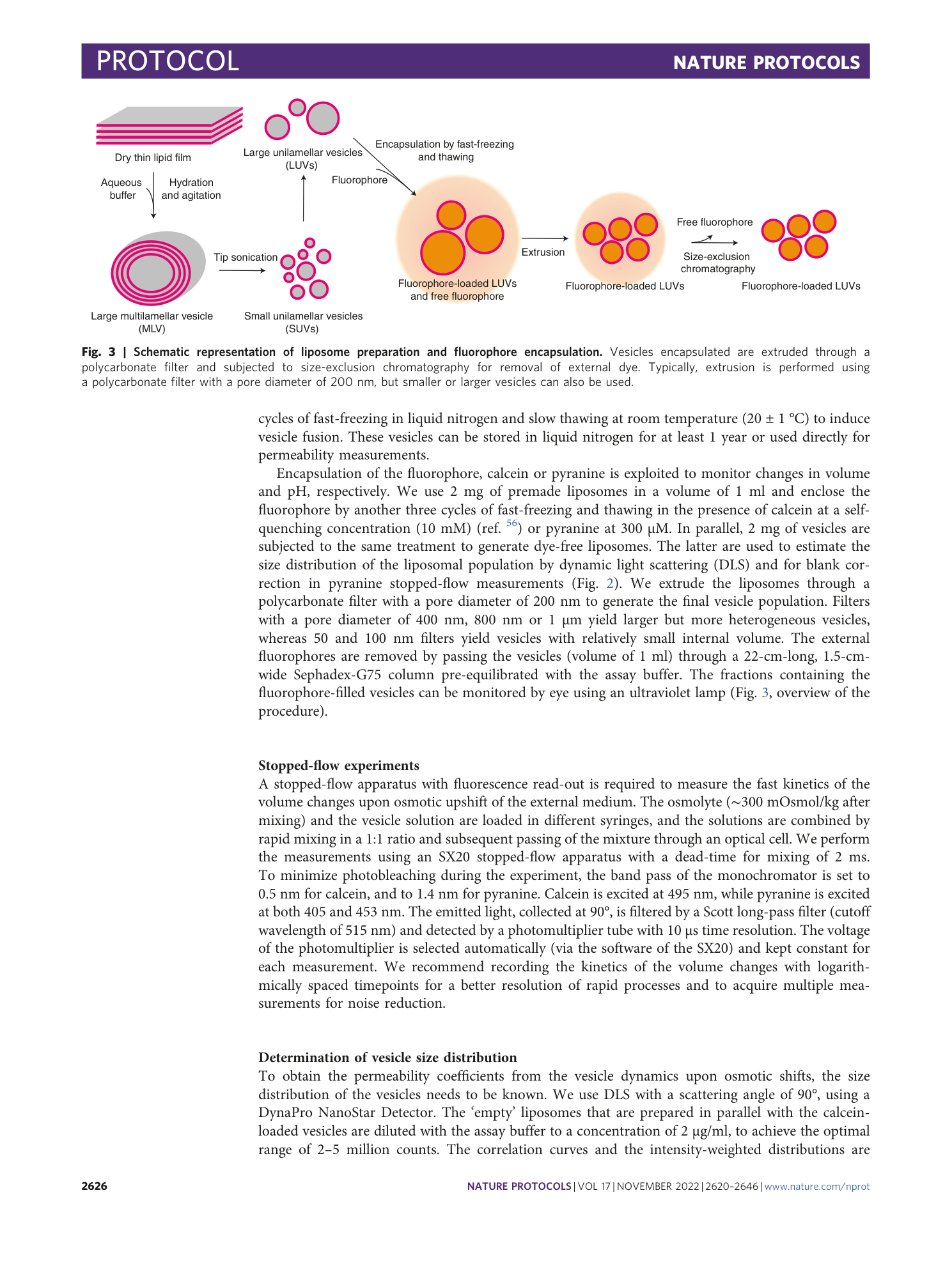 page-7