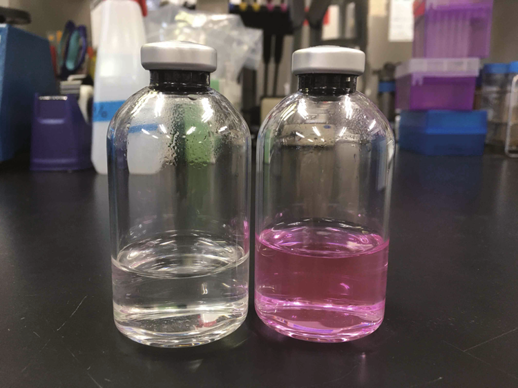Fig. 4: The culture medium in serum vials.
