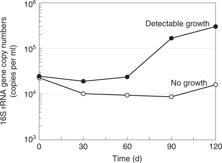 Fig. 5: Growth curves of strain MK-D1 in anaerobic medium supplemented with casamino acids (0.05% (wt/vol)) and powdered milk (0.1% (wt/vol)).