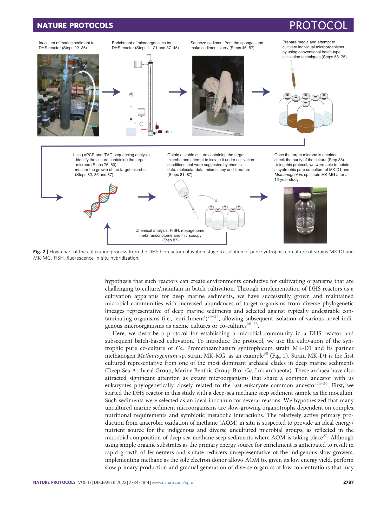 page-4