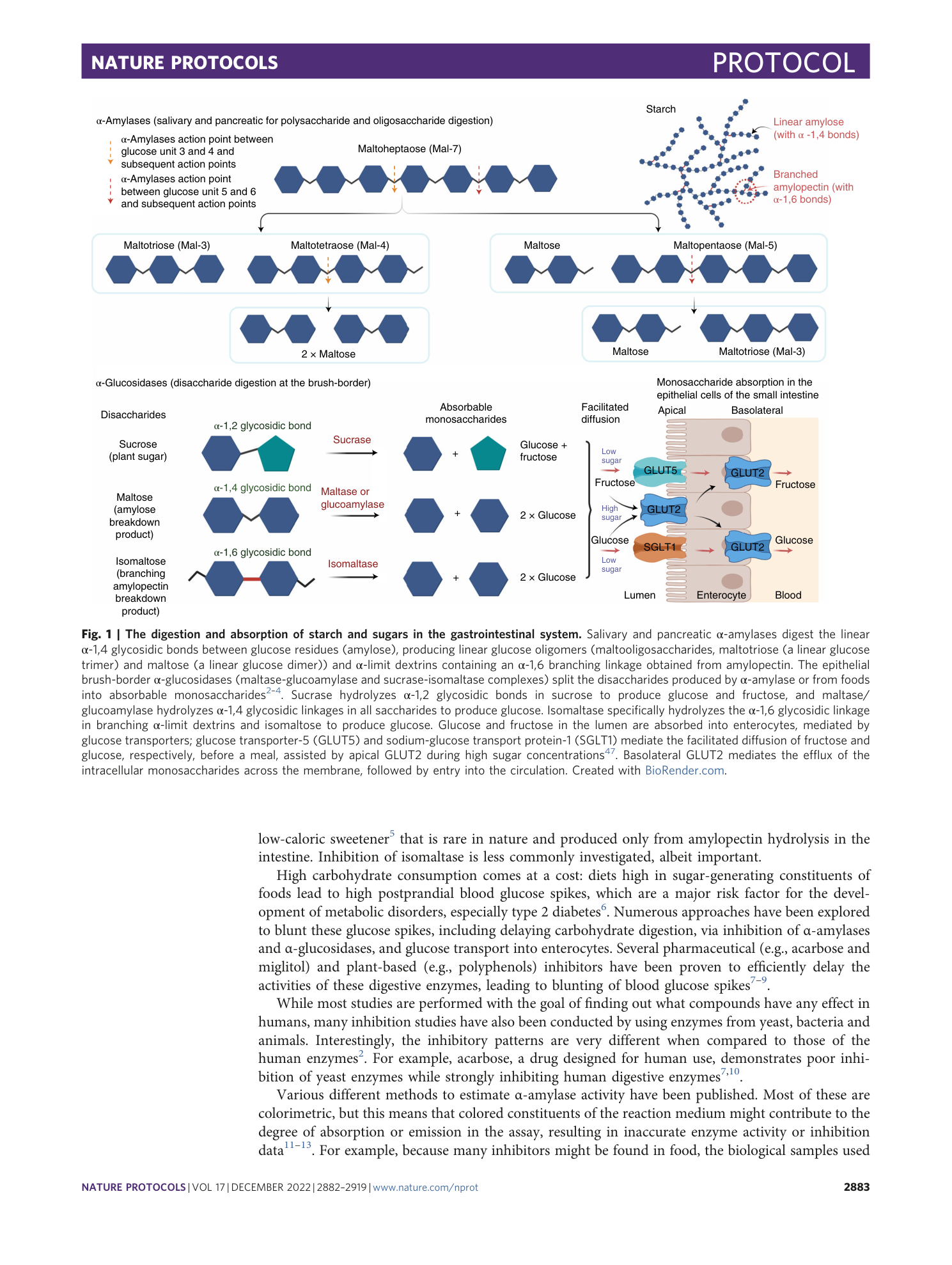 page-2