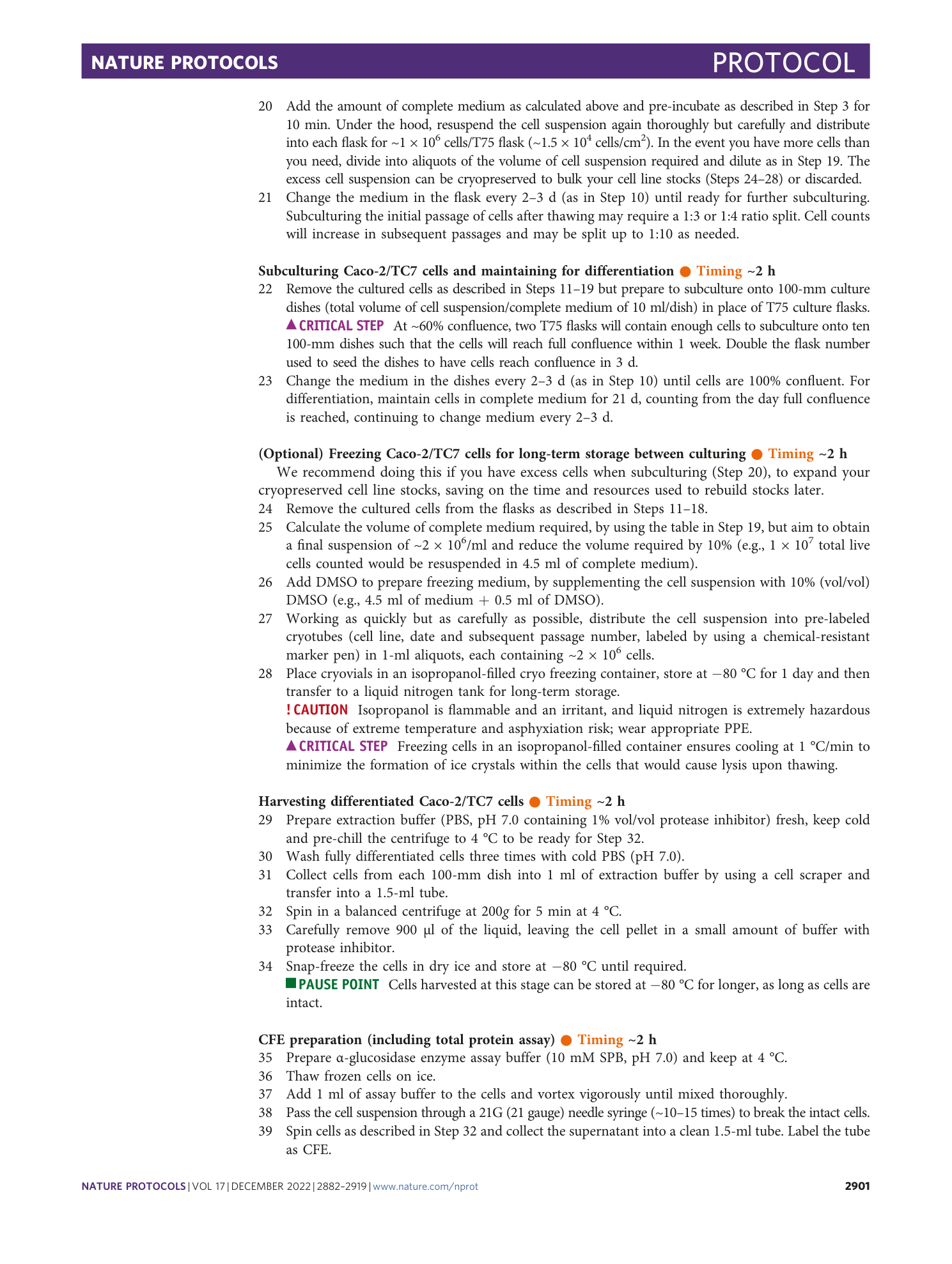 page-20