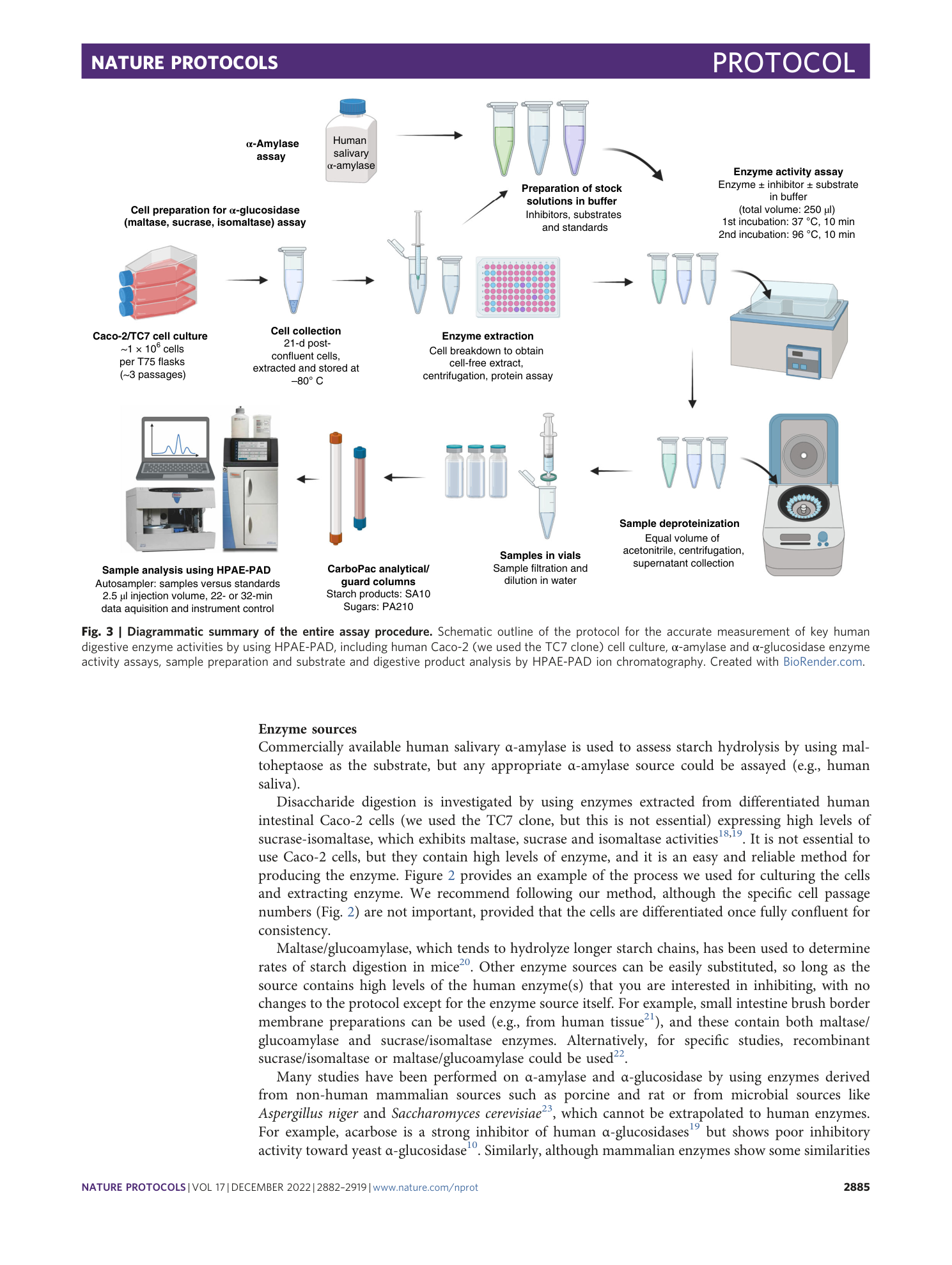 page-4
