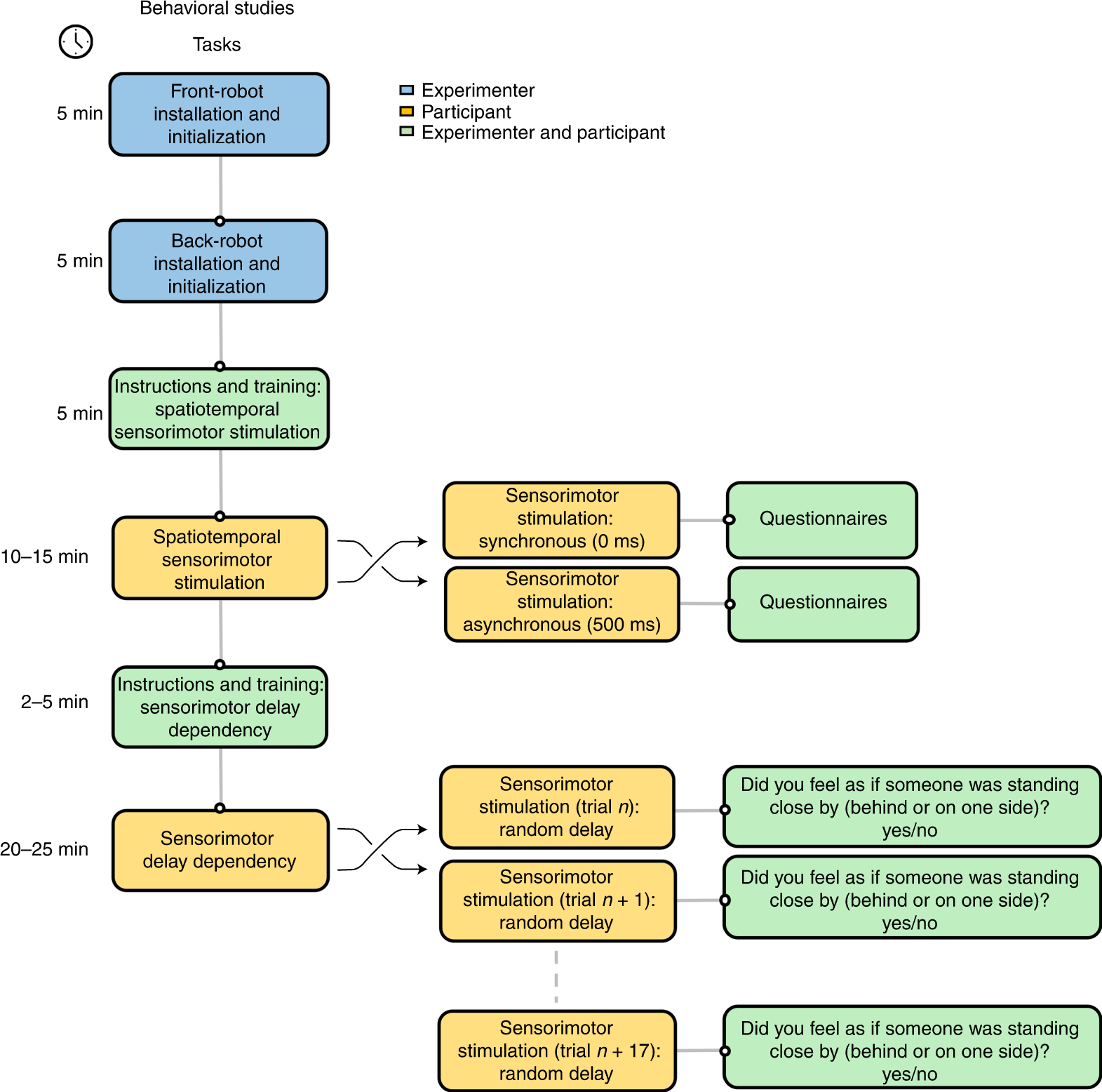 Fig. 5: The experimental workflow for behavioral experiments is divided into three principal stages.