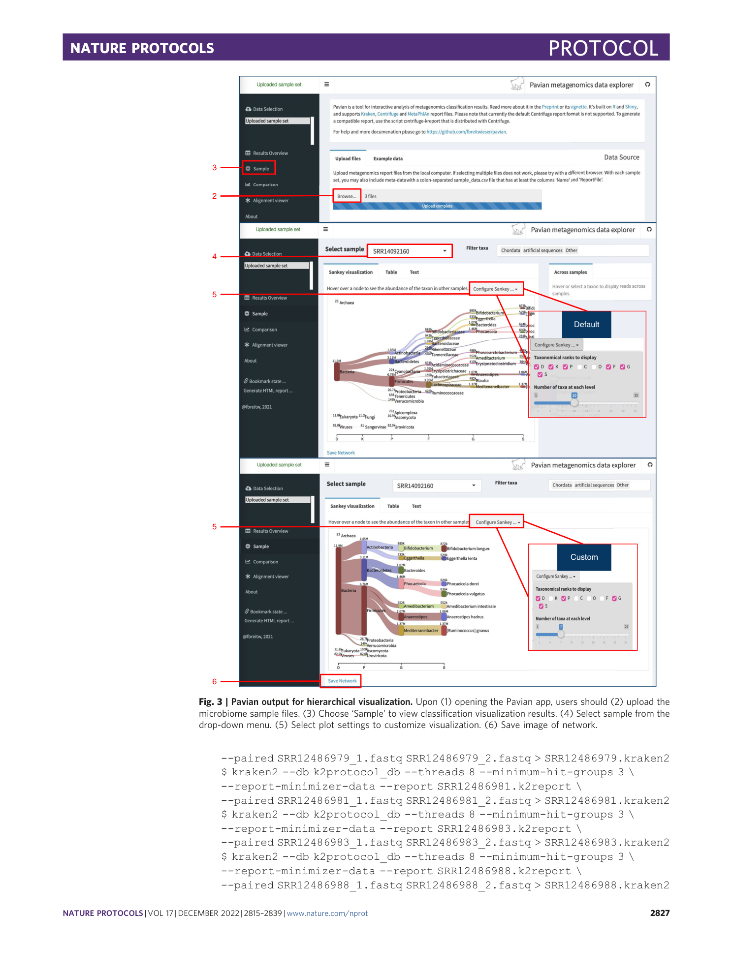 Metagenome analysis using the Kraken software suite — Nature Protocols ...