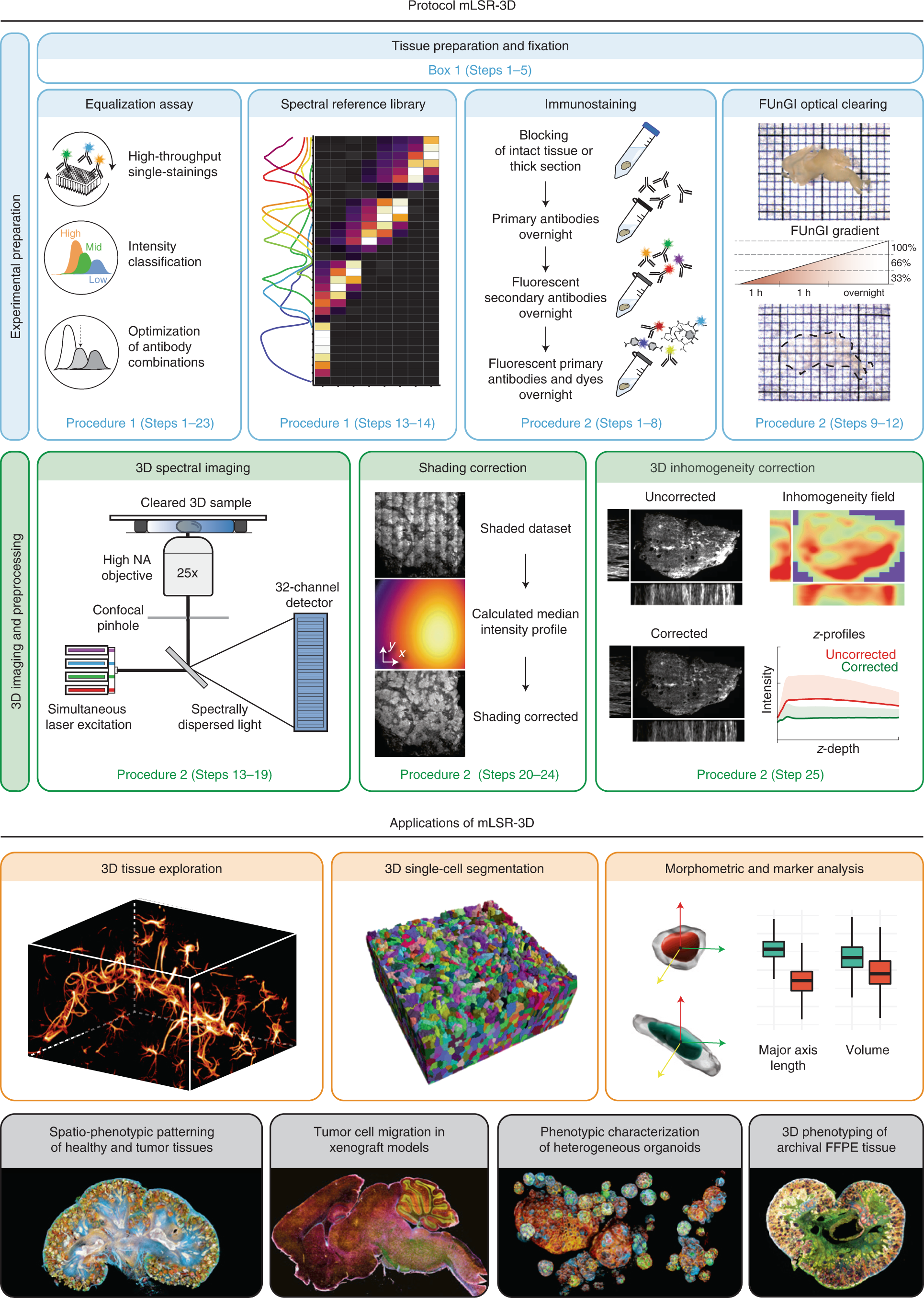 Fig. 1: Schematic summary of the mLSR-3D imaging protocol and envisioned applications.