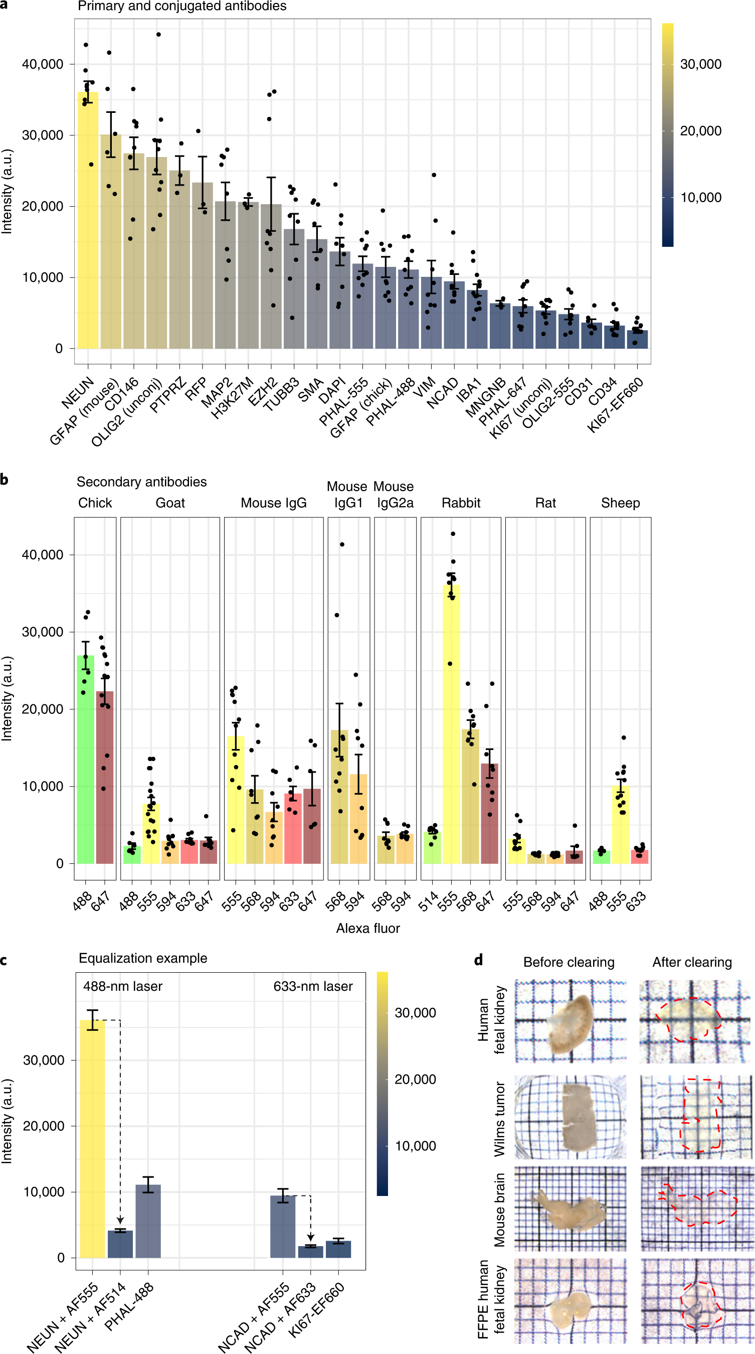 Fig. 2: mLSR-3D equalization assay and FUnGI clearing.