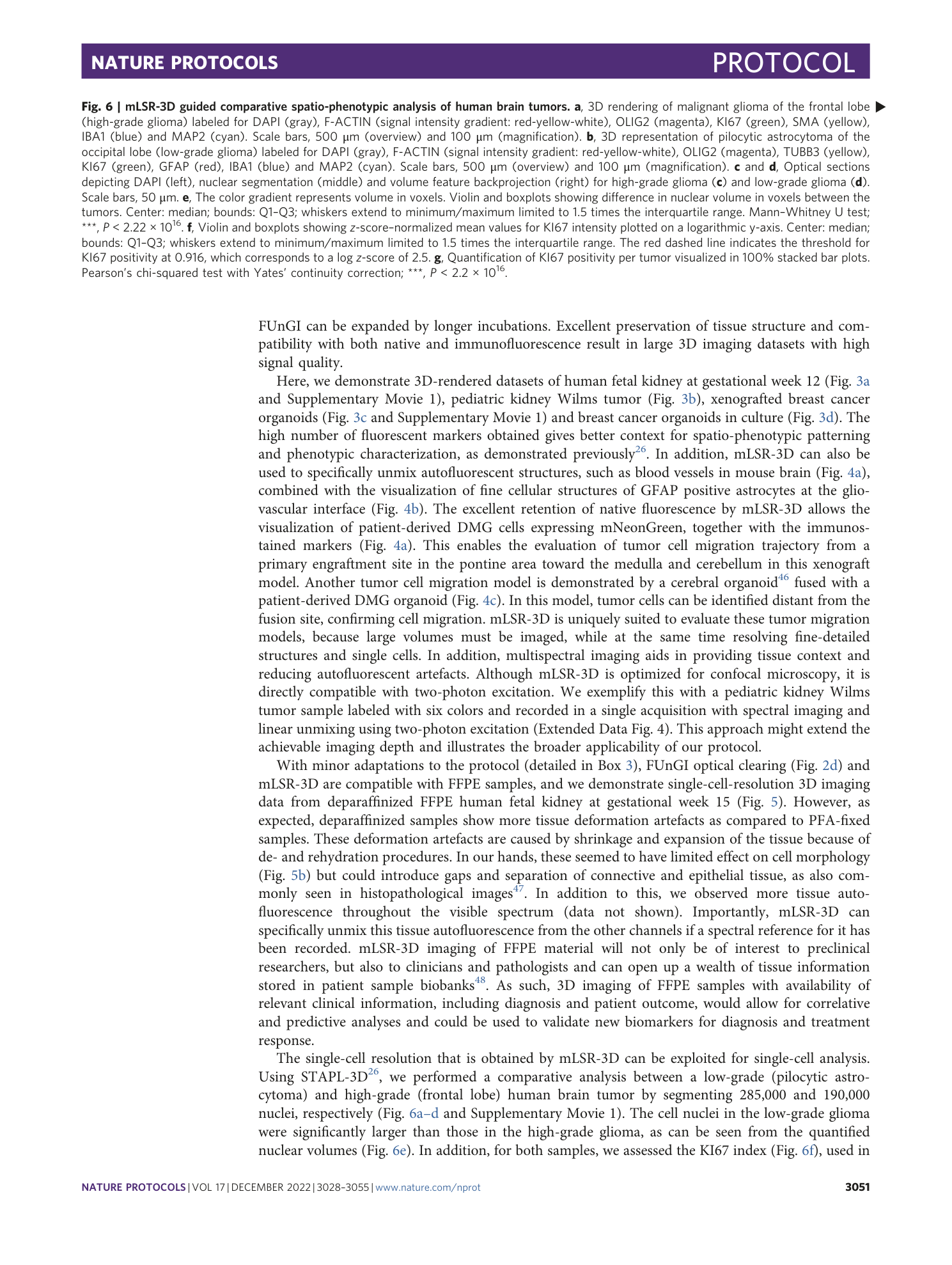 page-24