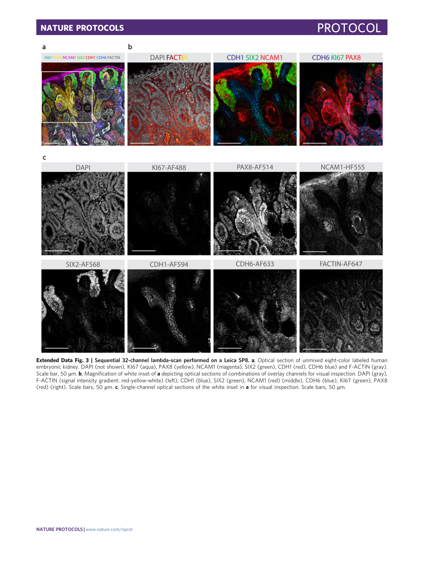 page-32