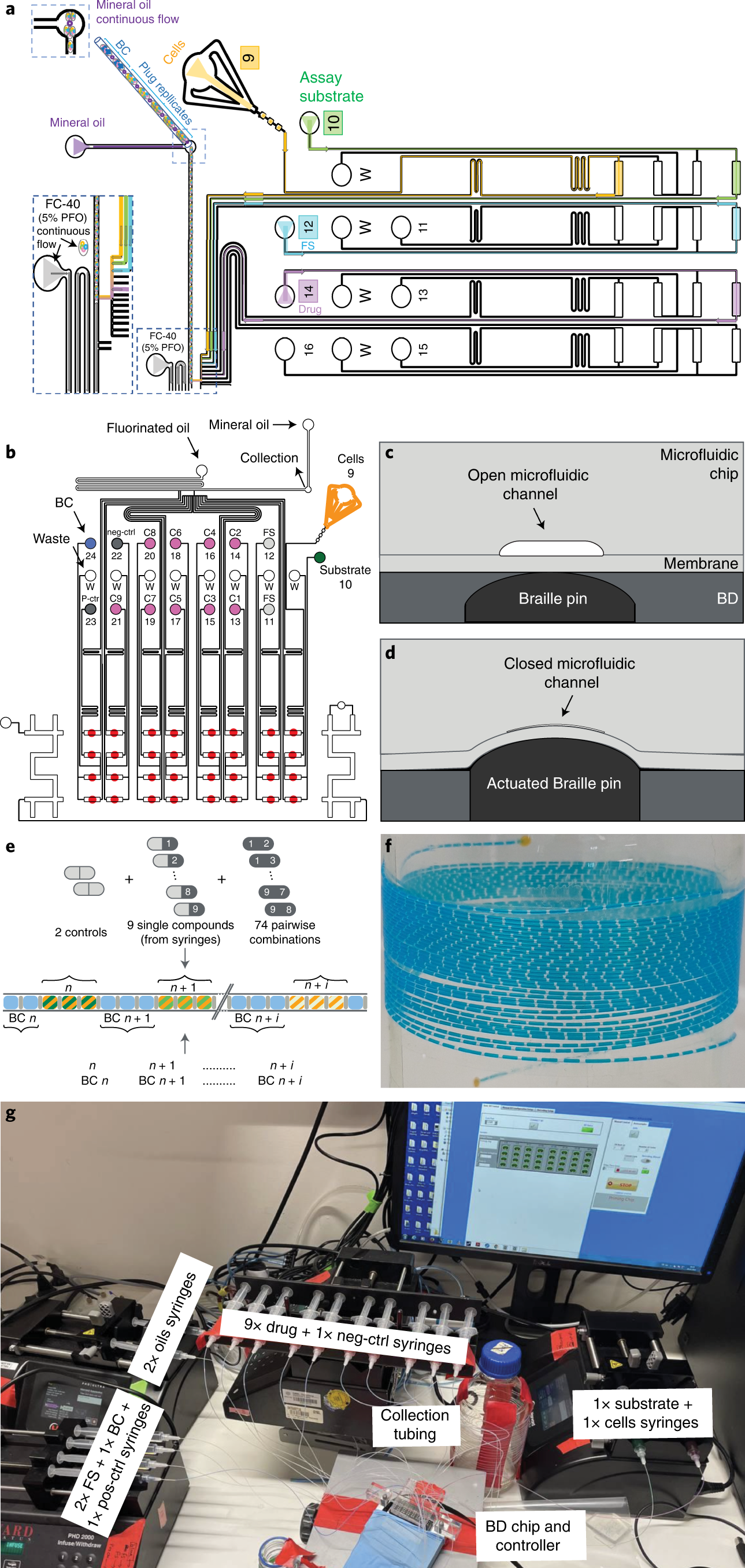 Fig. 1: Schematic representation of the microfluidic BD valve drug screening platform.