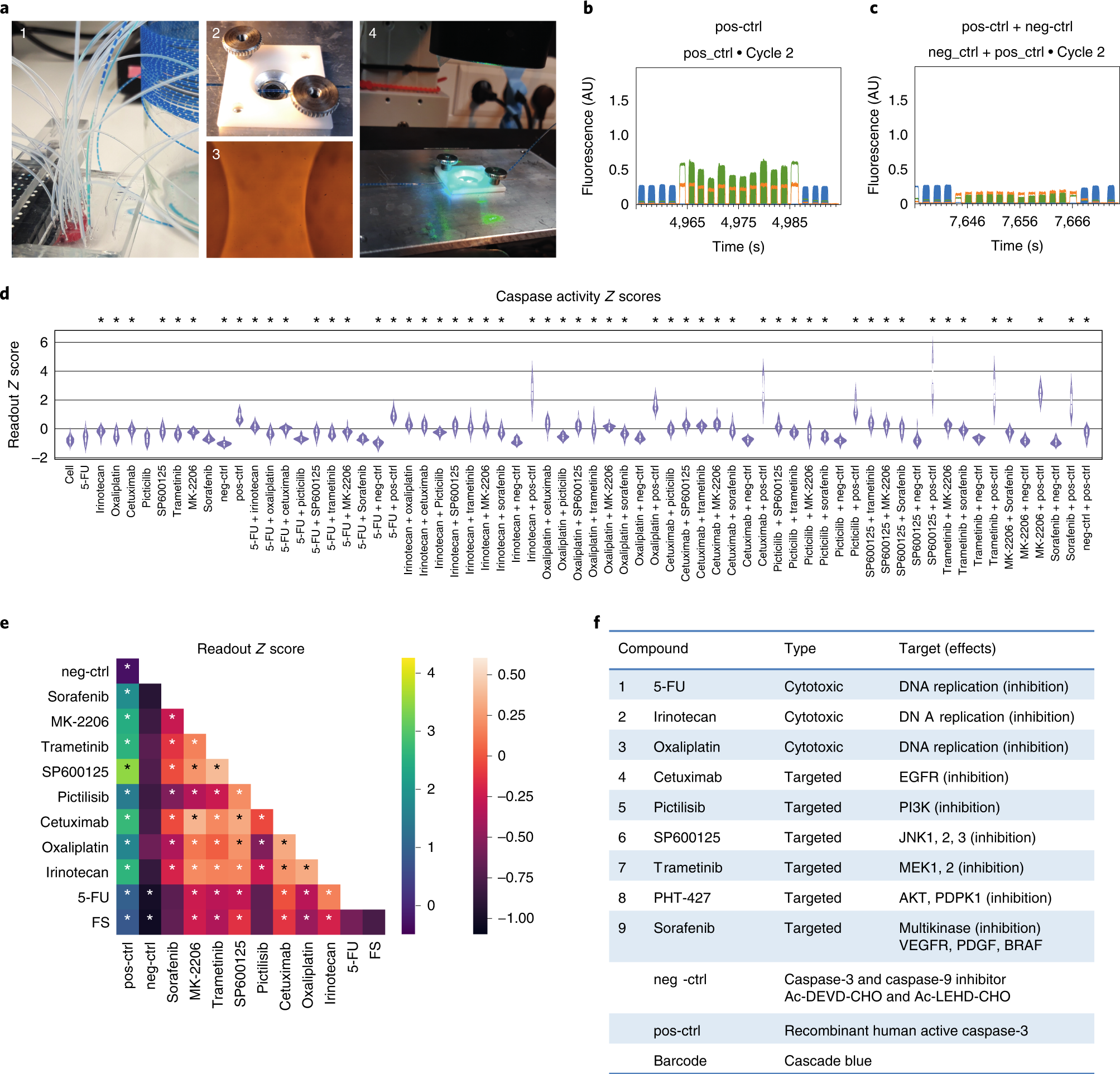 Fig. 4: High-throughput combinatorial drug screening on human HCT-116 cells.