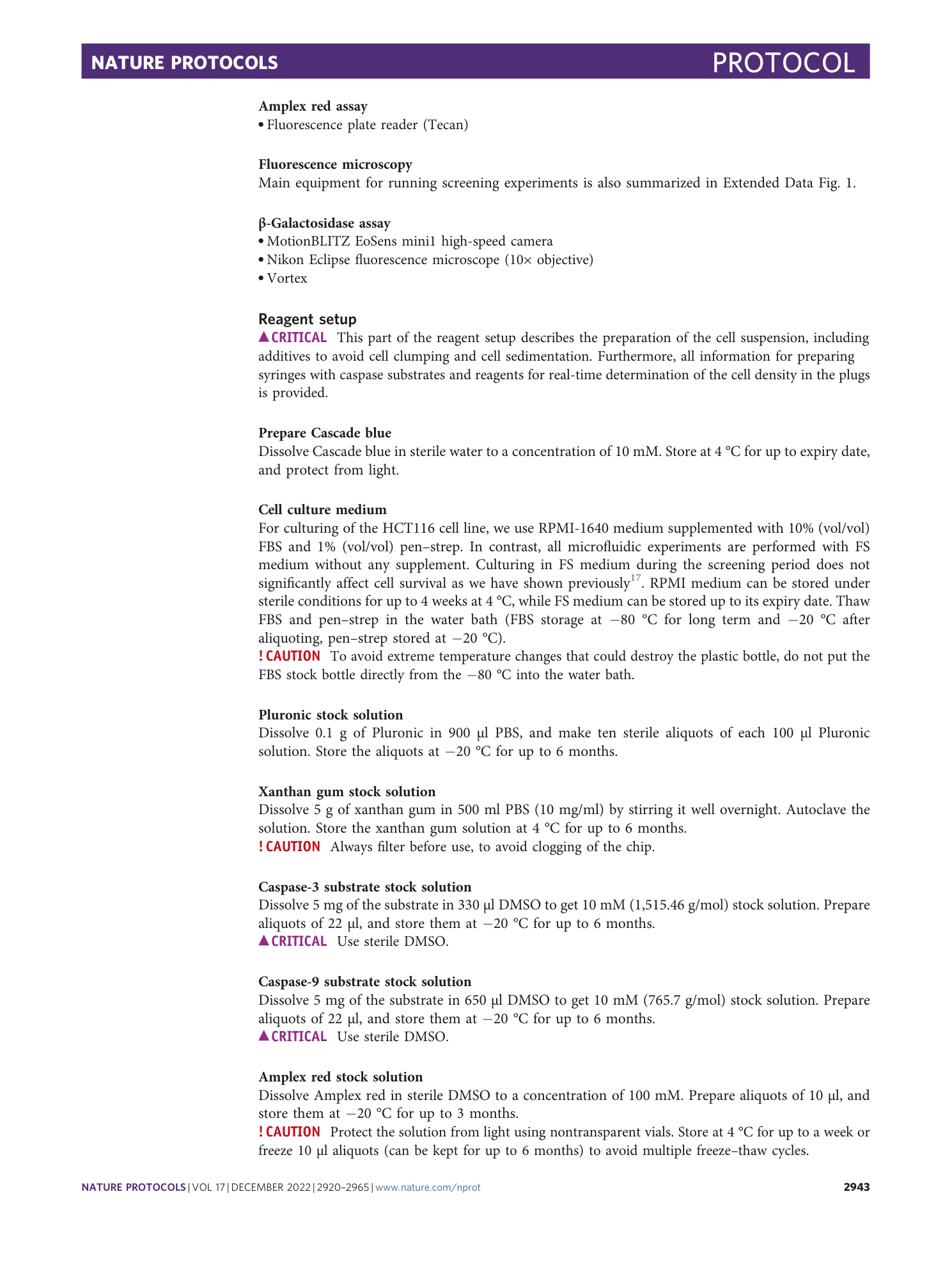 page-24