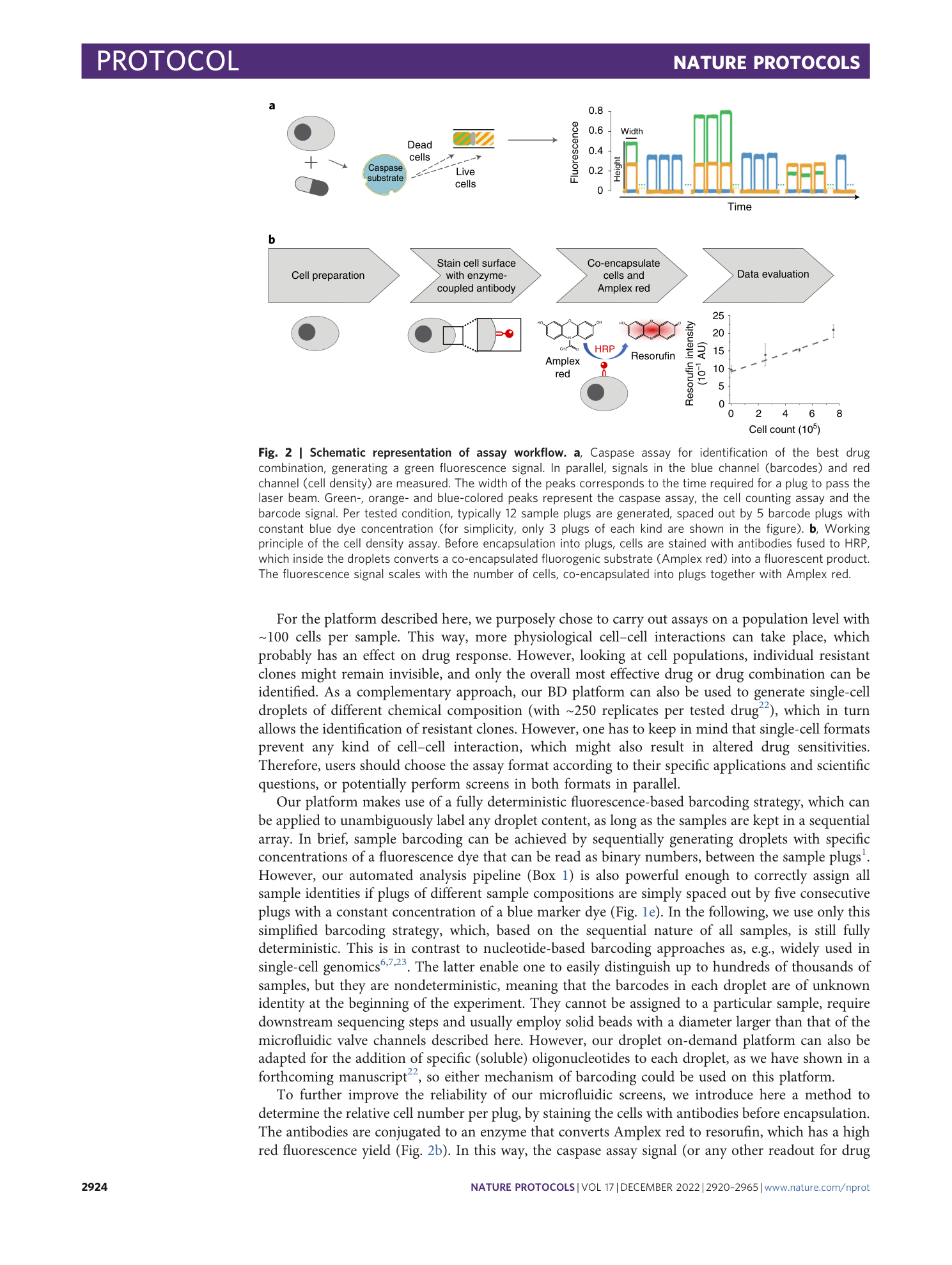 page-5