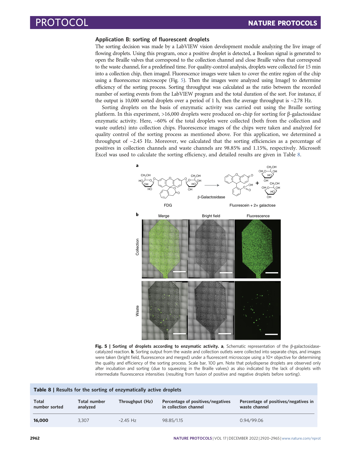 page-43