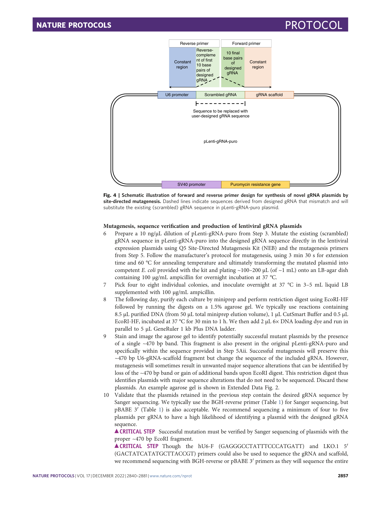 page-18