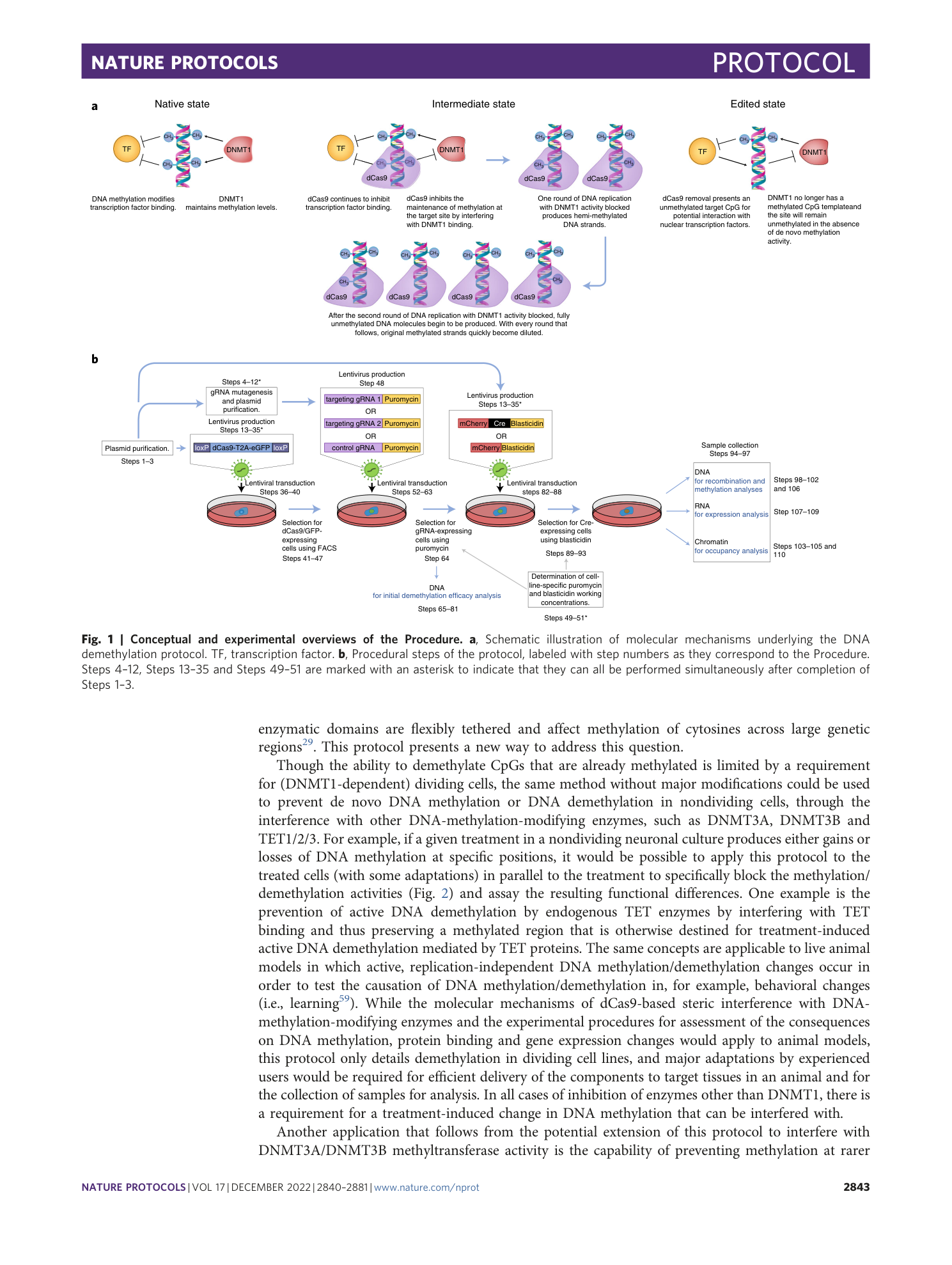 page-4