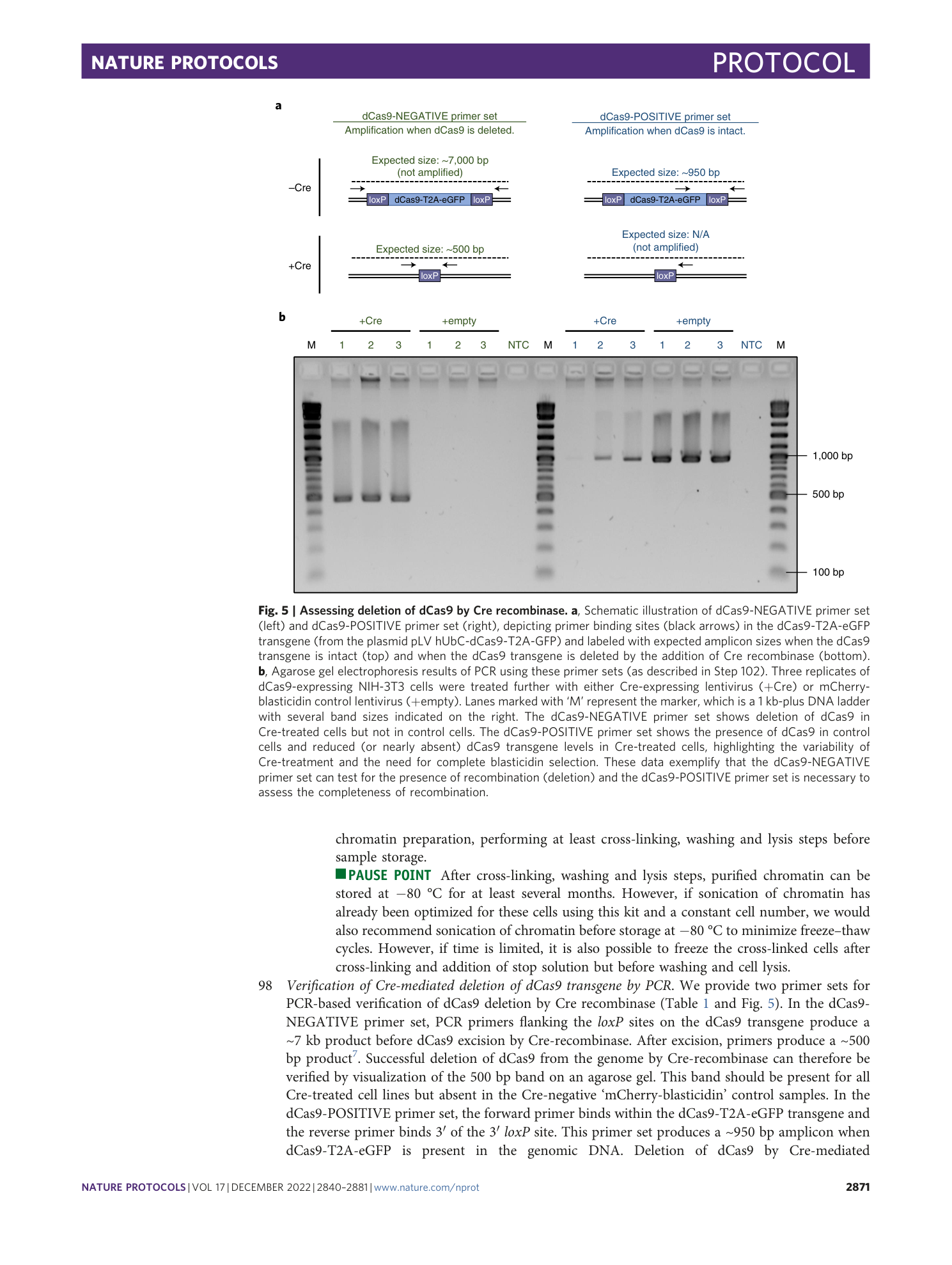page-32