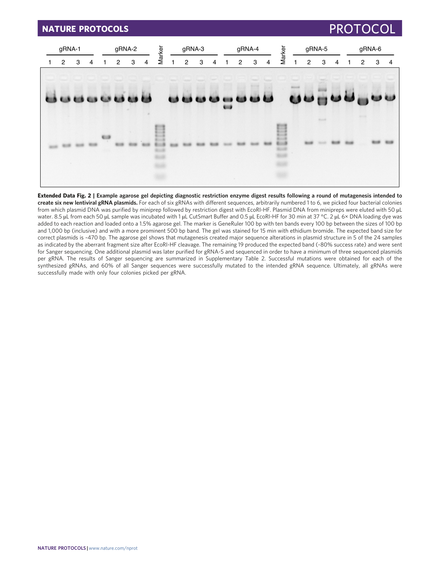 page-44