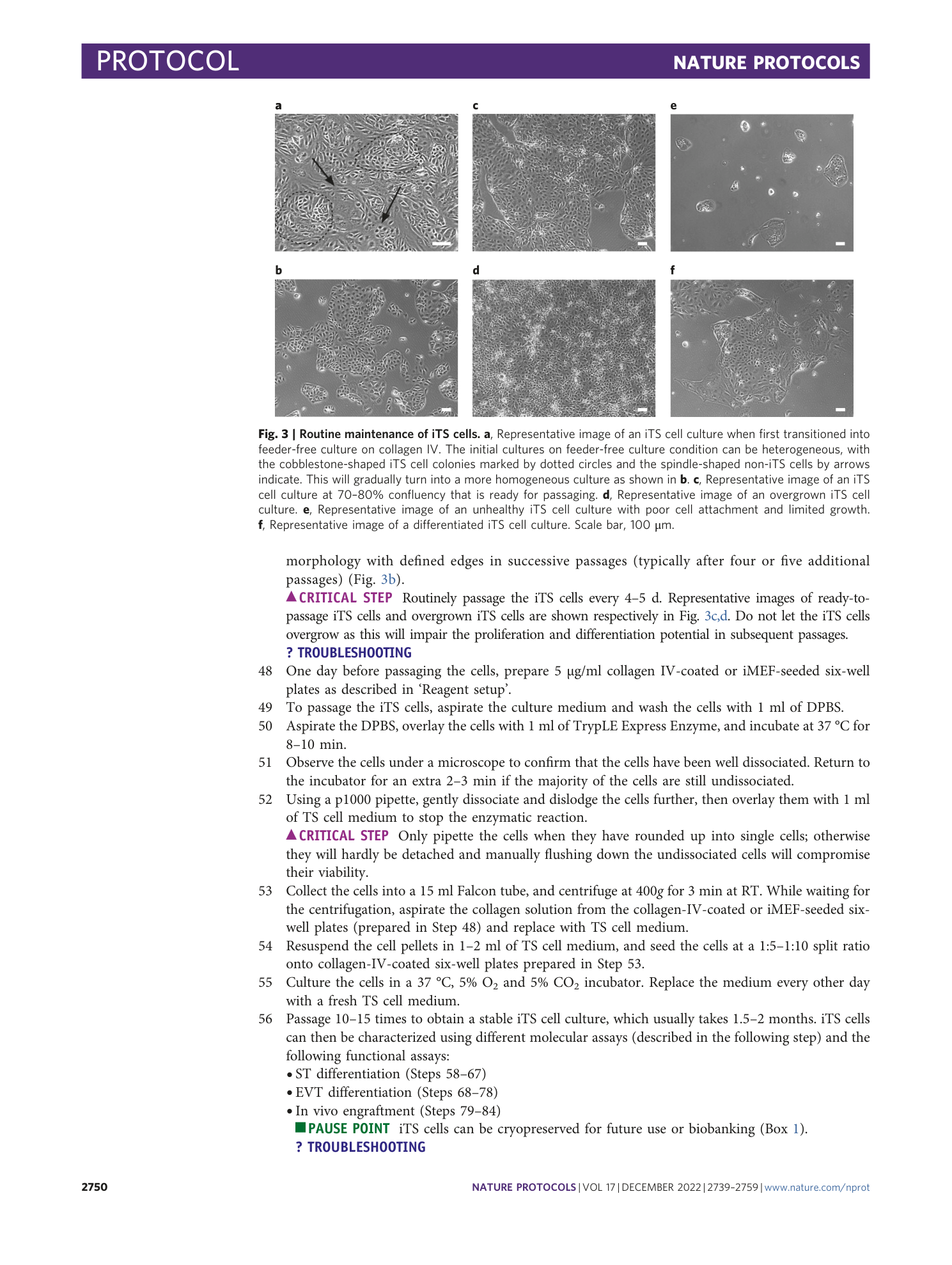 page-12