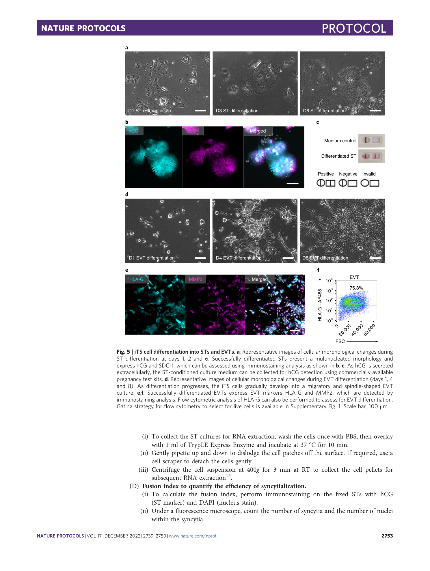 page-15