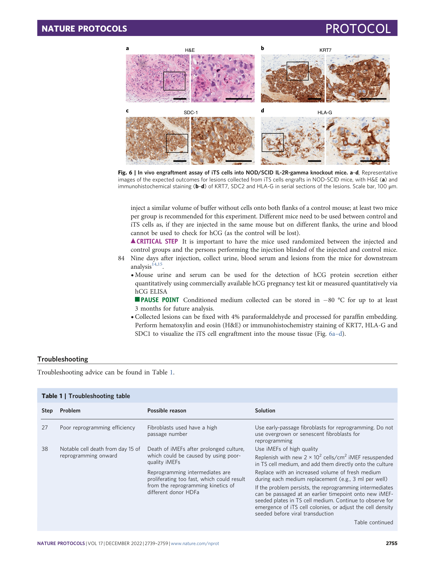 page-17
