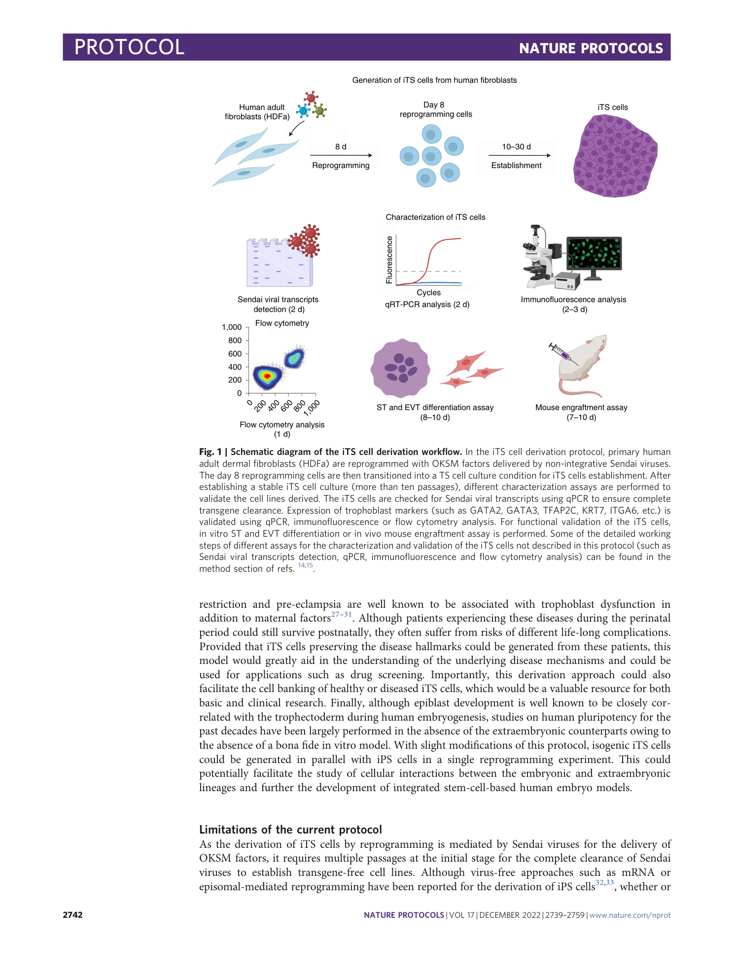 page-4