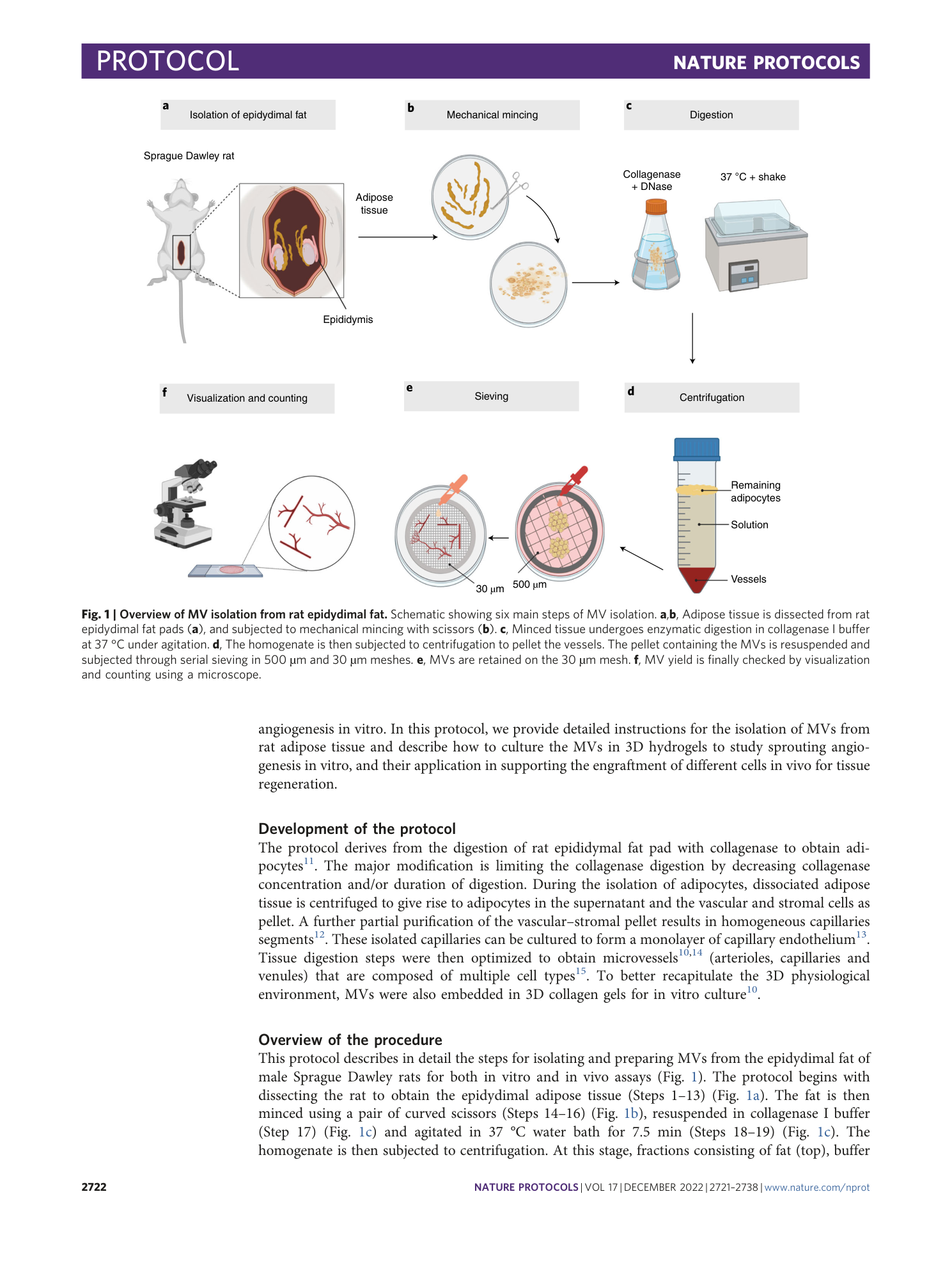 page-2