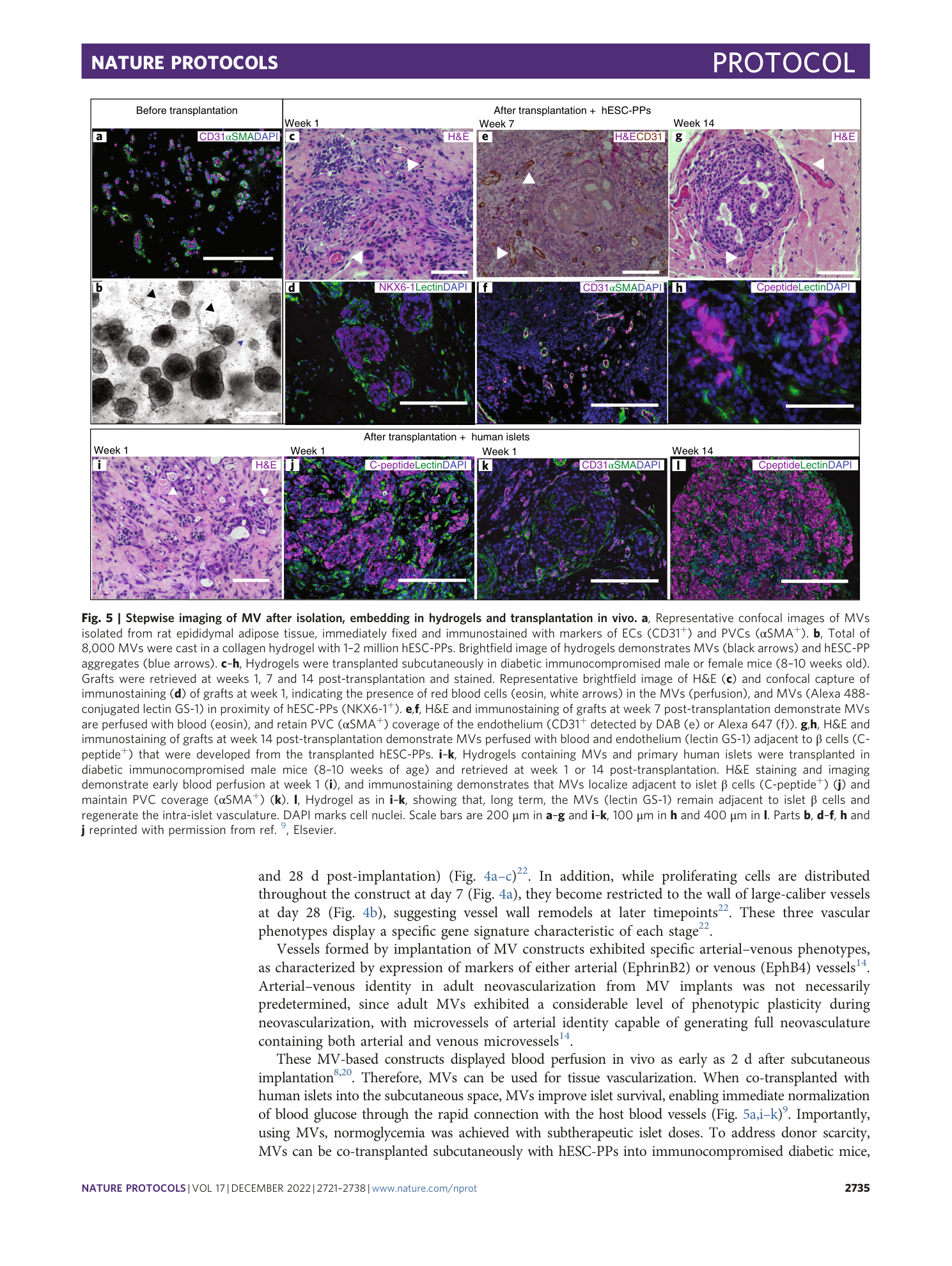 page-15
