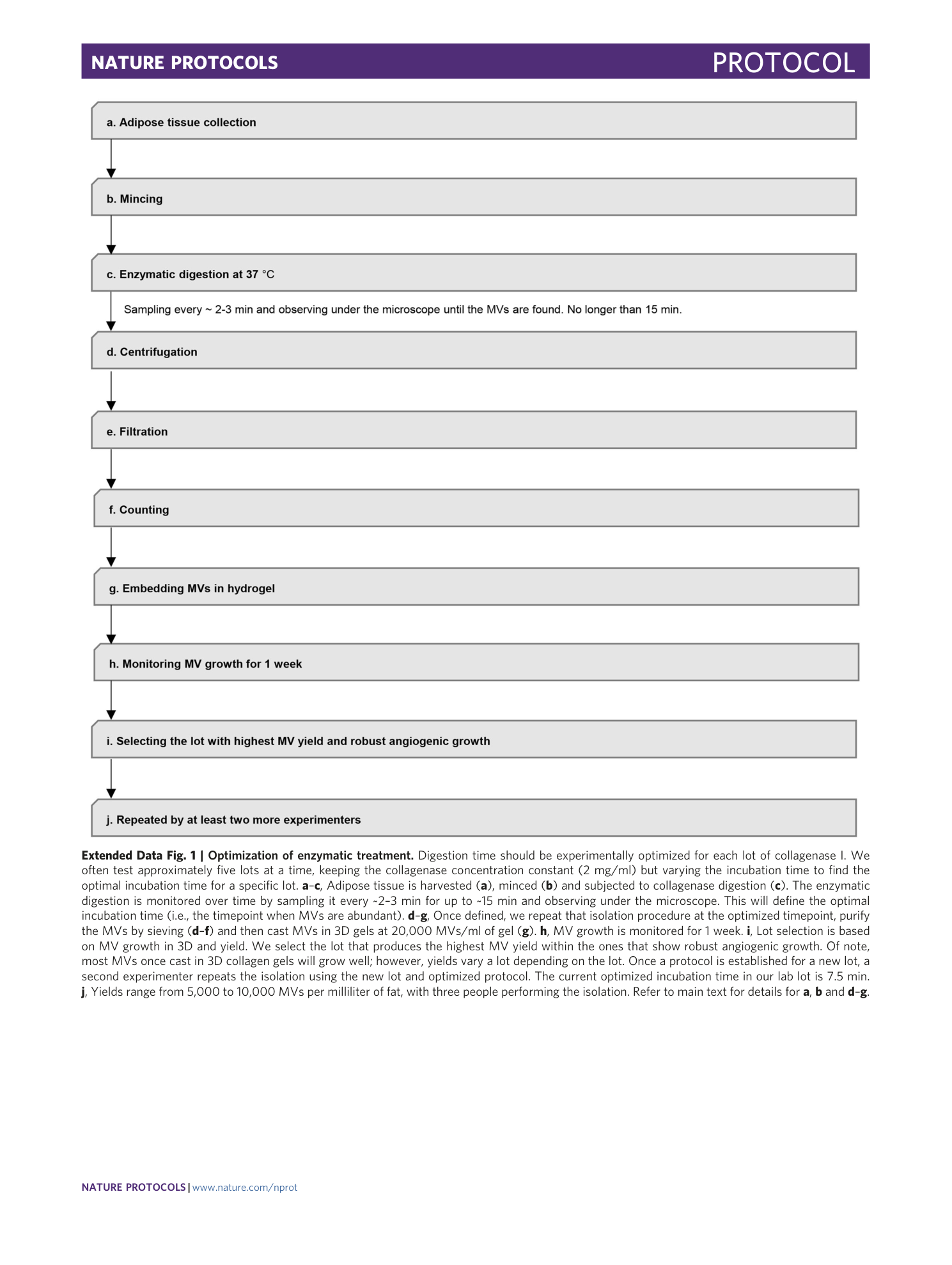 page-19