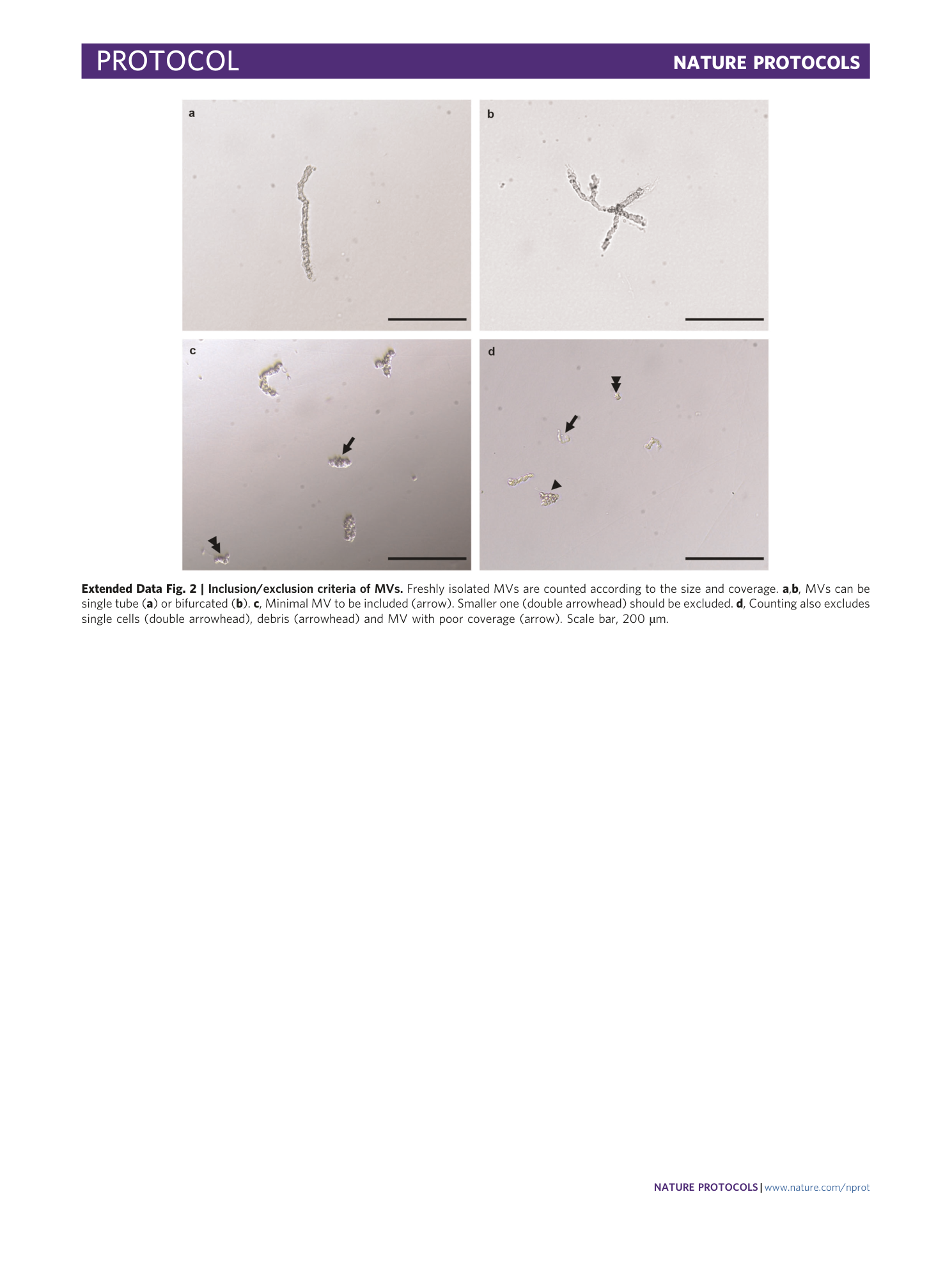 page-20