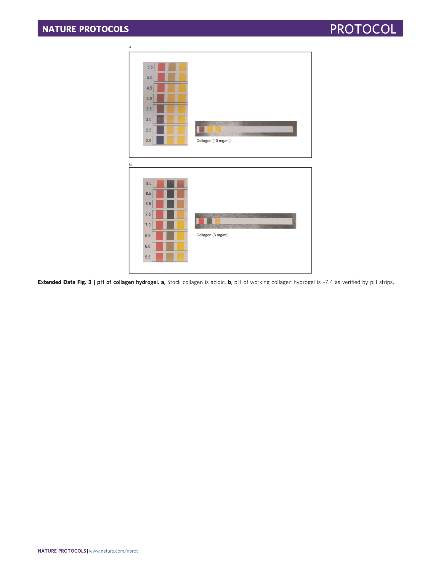 page-21