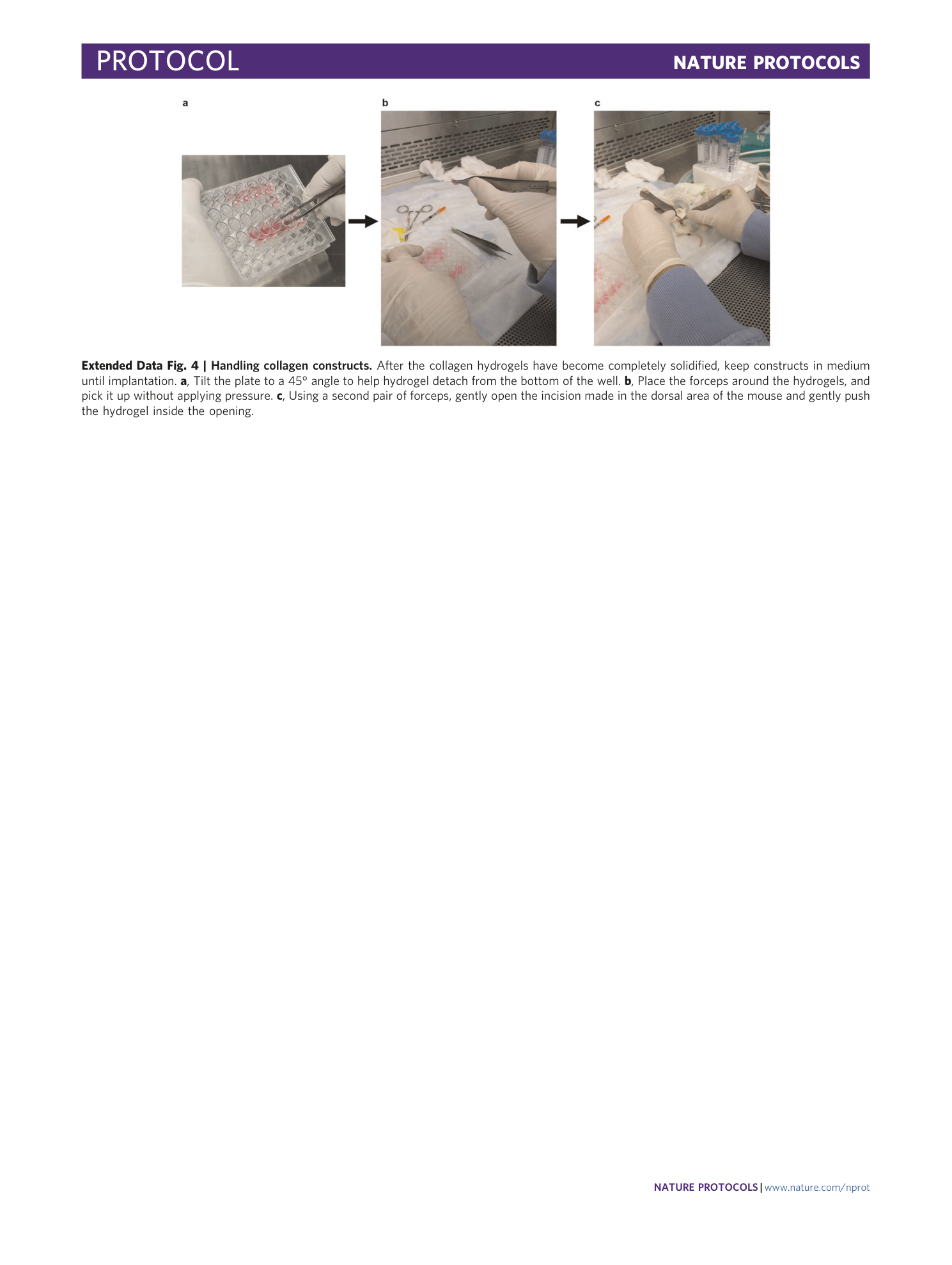 page-22