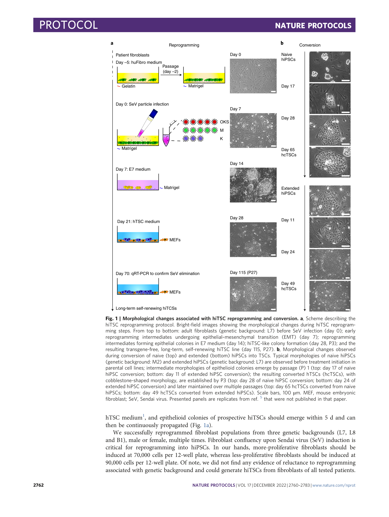 page-3