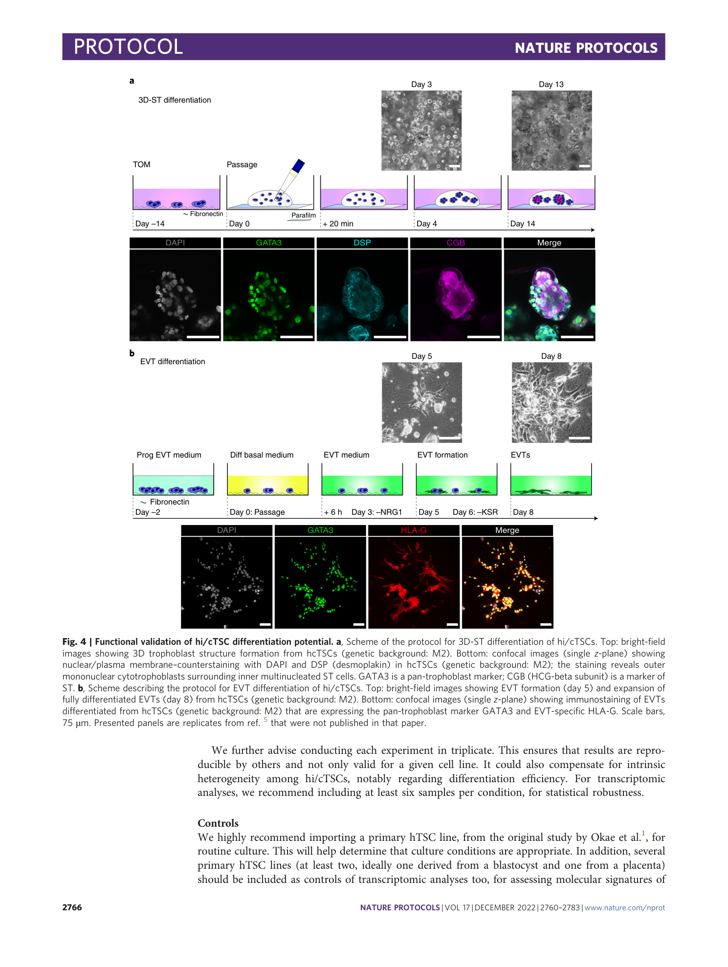page-7