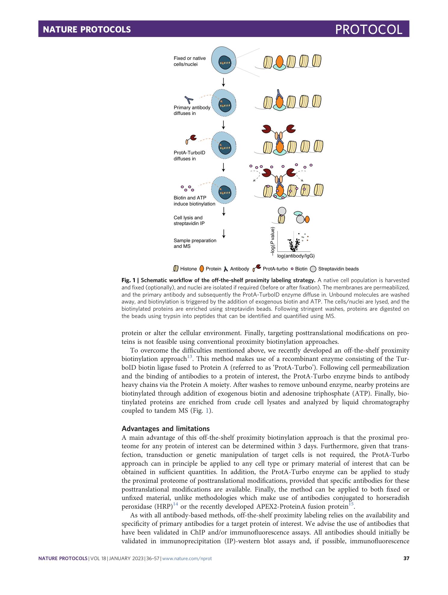 page-2
