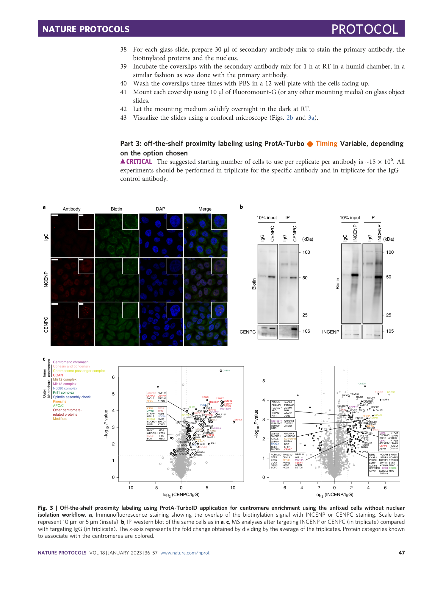 page-12