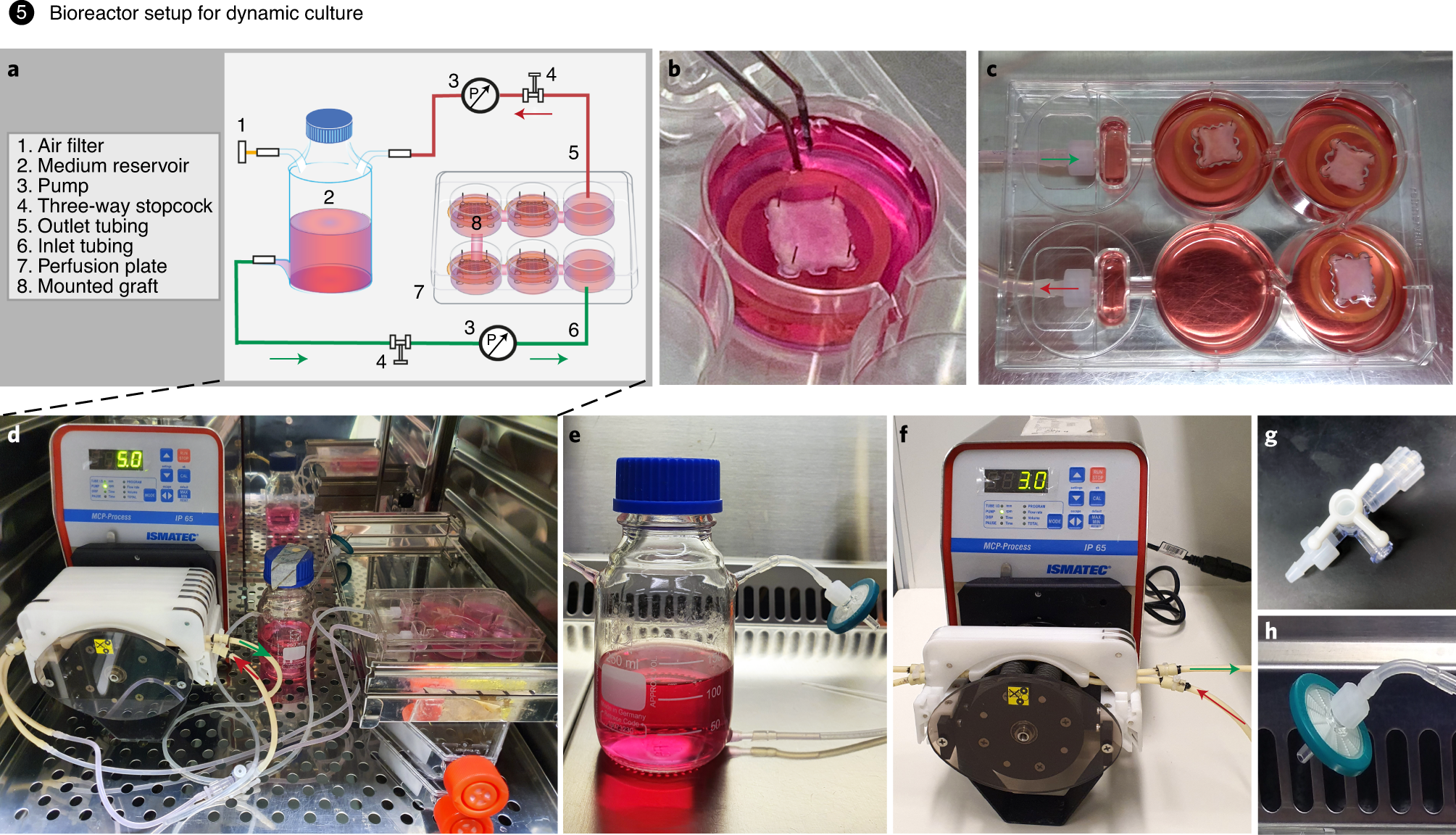 Fig. 5: Bioreactor setup for dynamic culture.