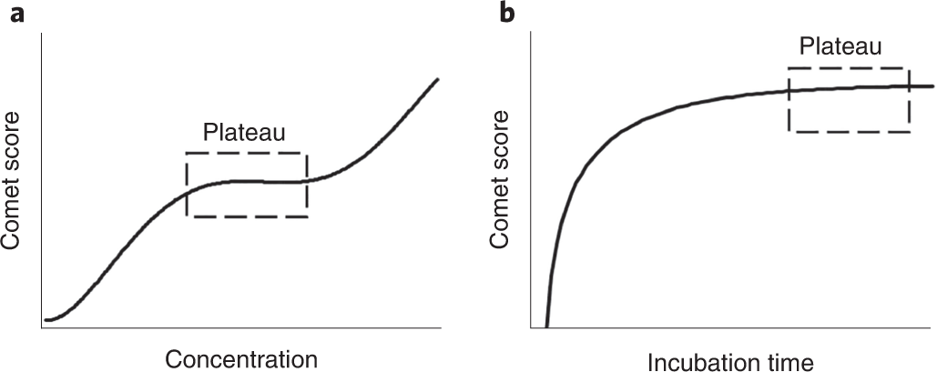 Fig. 12: Titration steps in the enzyme-modified comet assay.