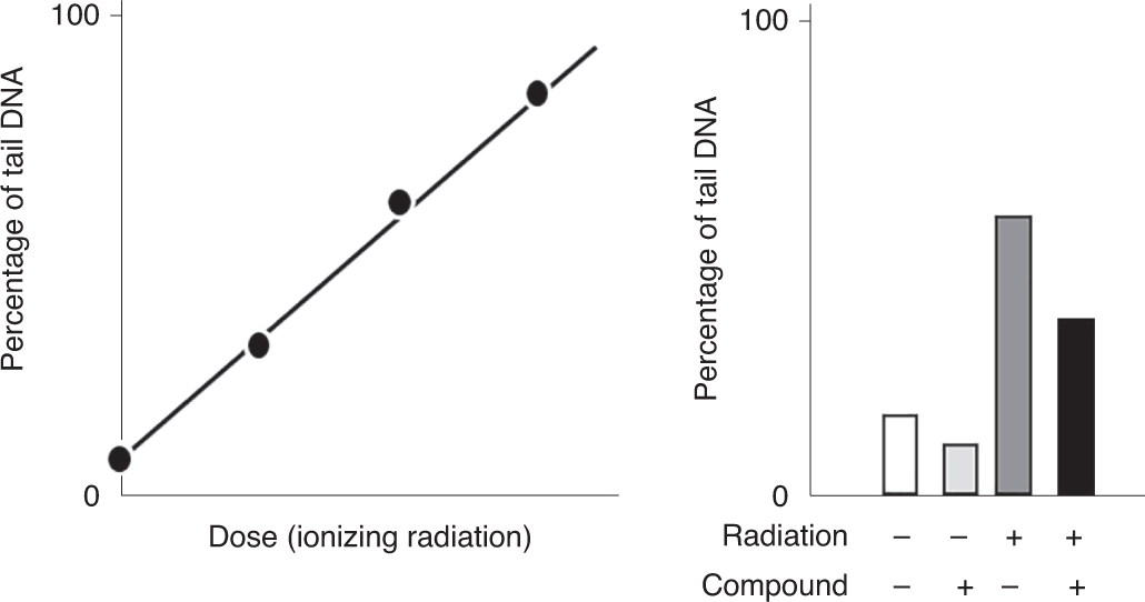 Fig. 14: Detection of DNA crosslinks in a theoretical cell culture study.